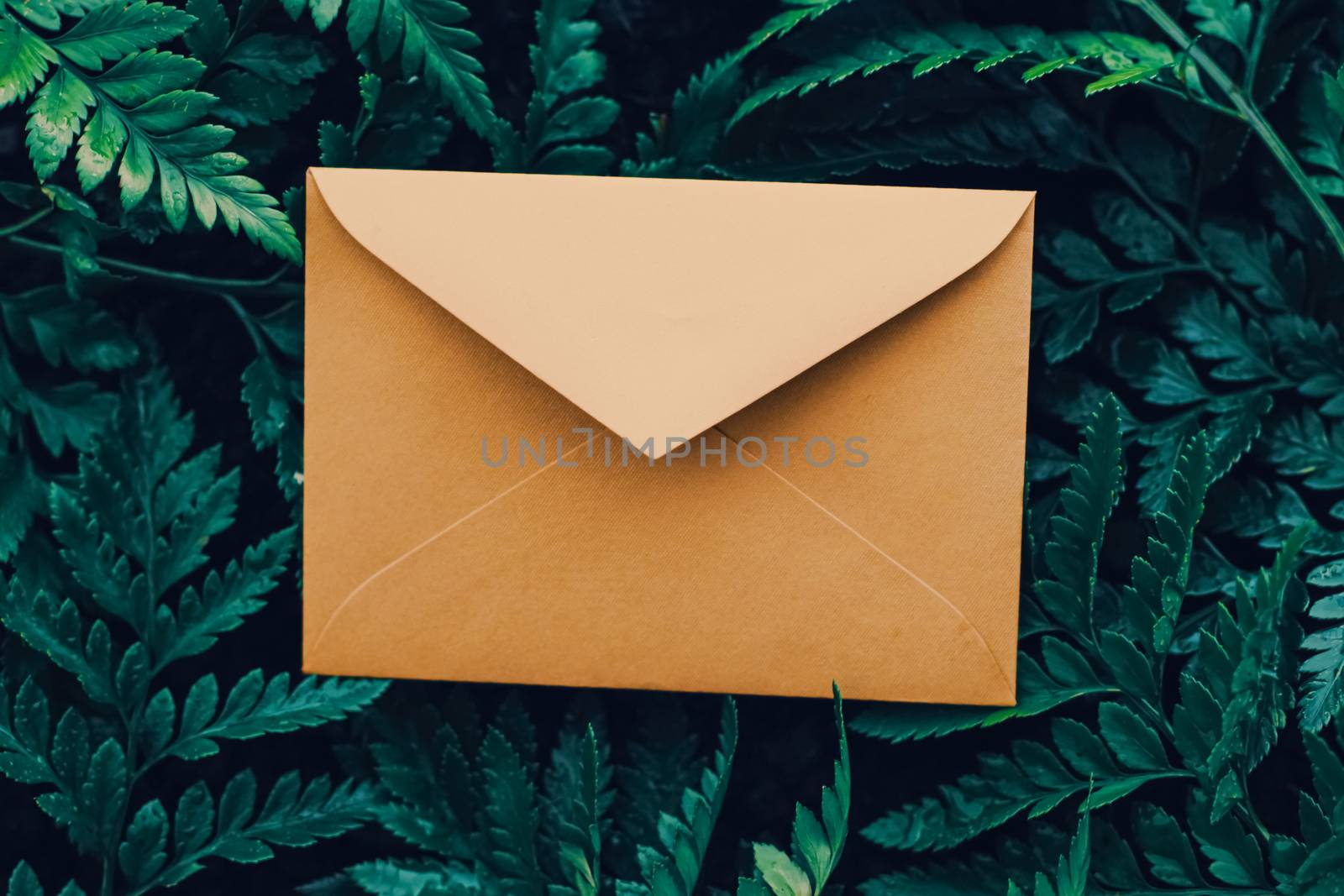 Blank envelope and green leaves in nature, paper card as background, correspondence and newsletter concept