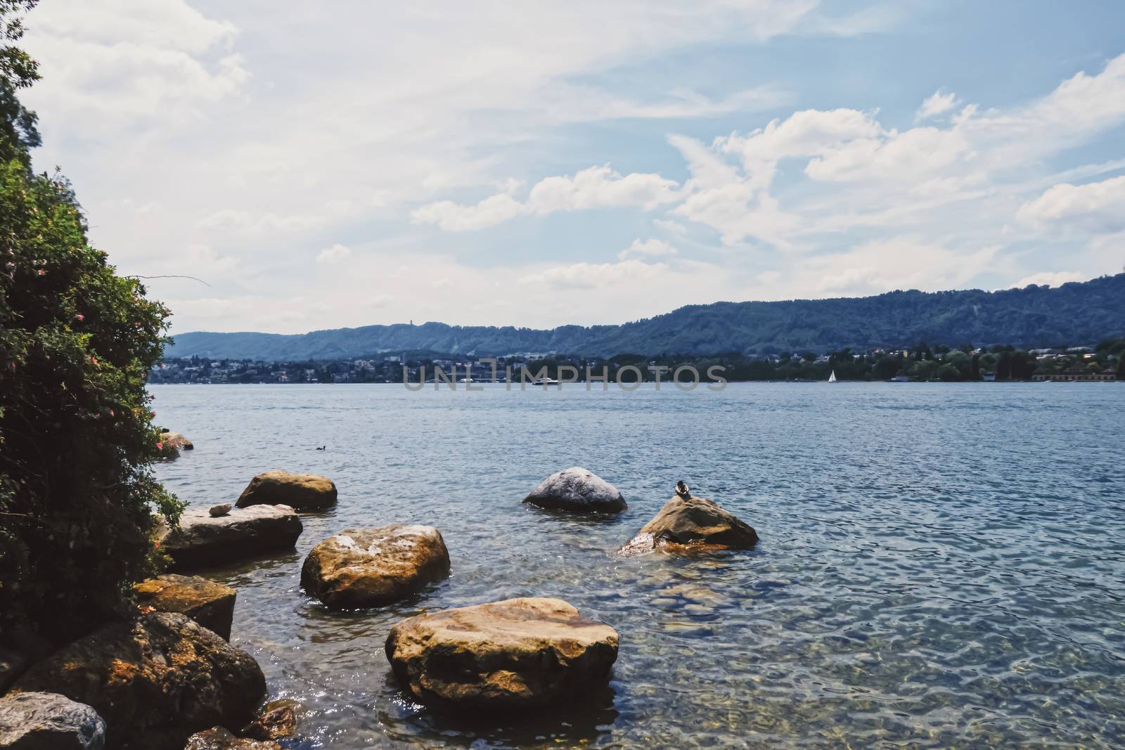 City park near lake Zurich in Switzerland, summertime