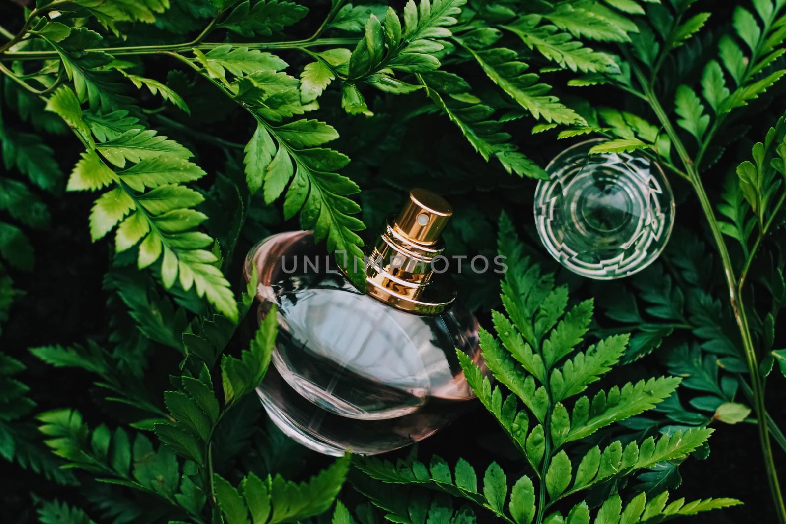 Perfume bottle with aromatic tropical scent in nature, luxury fragrance by Anneleven