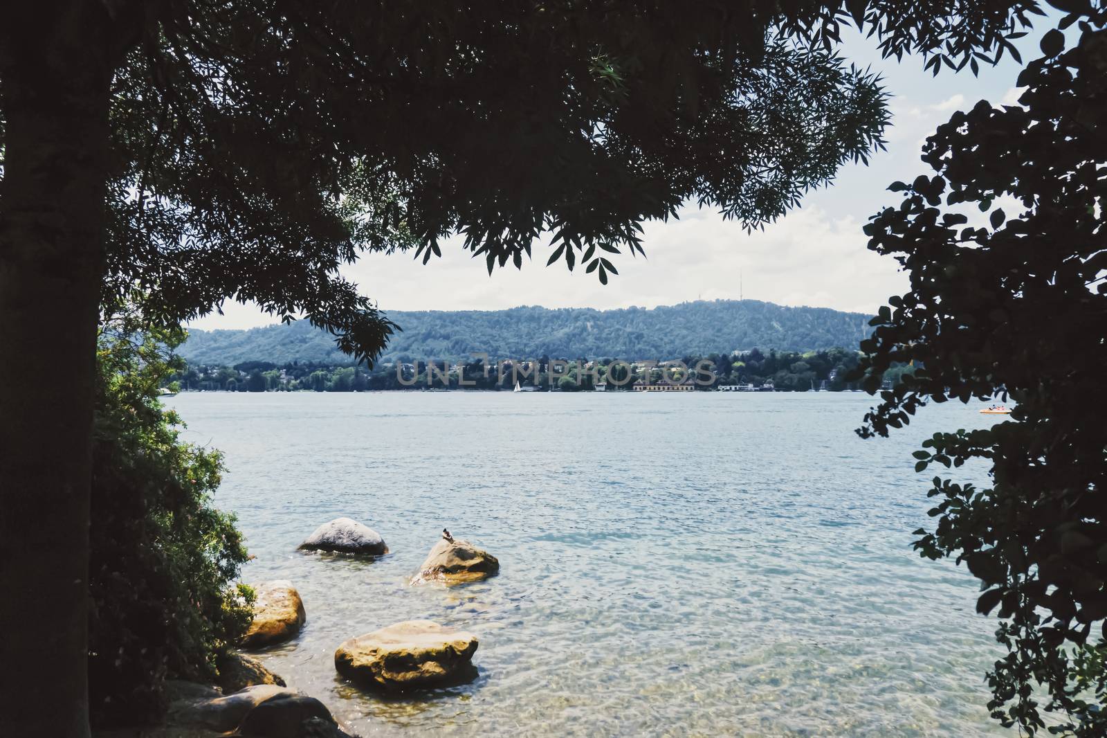 City park near lake Zurich in Switzerland by Anneleven