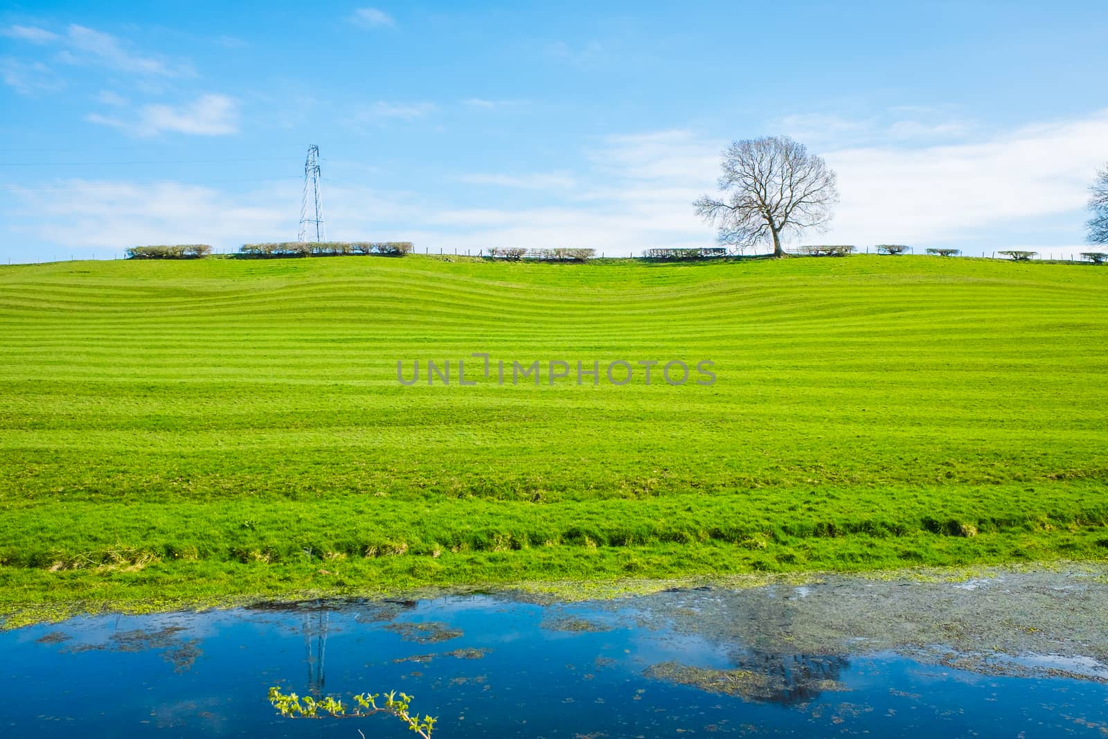 Green fram field in sringtime rolled to make stripes by paddythegolfer