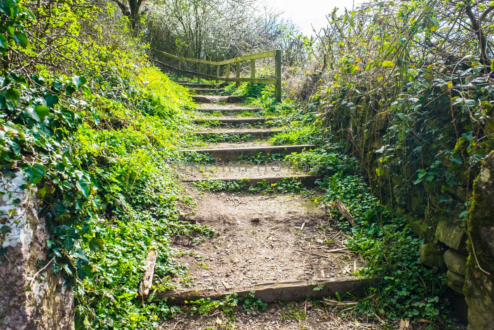 Old Wooden Steps up to towpath on Lancster Canal by paddythegolfer