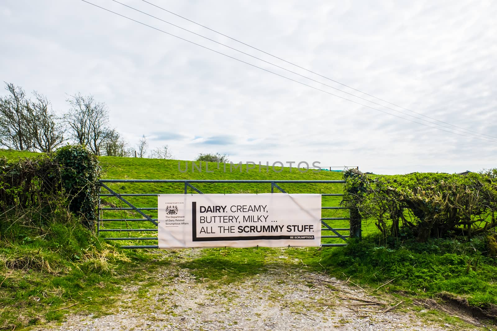 Dairy products sign on metal farm gate in Lancashire