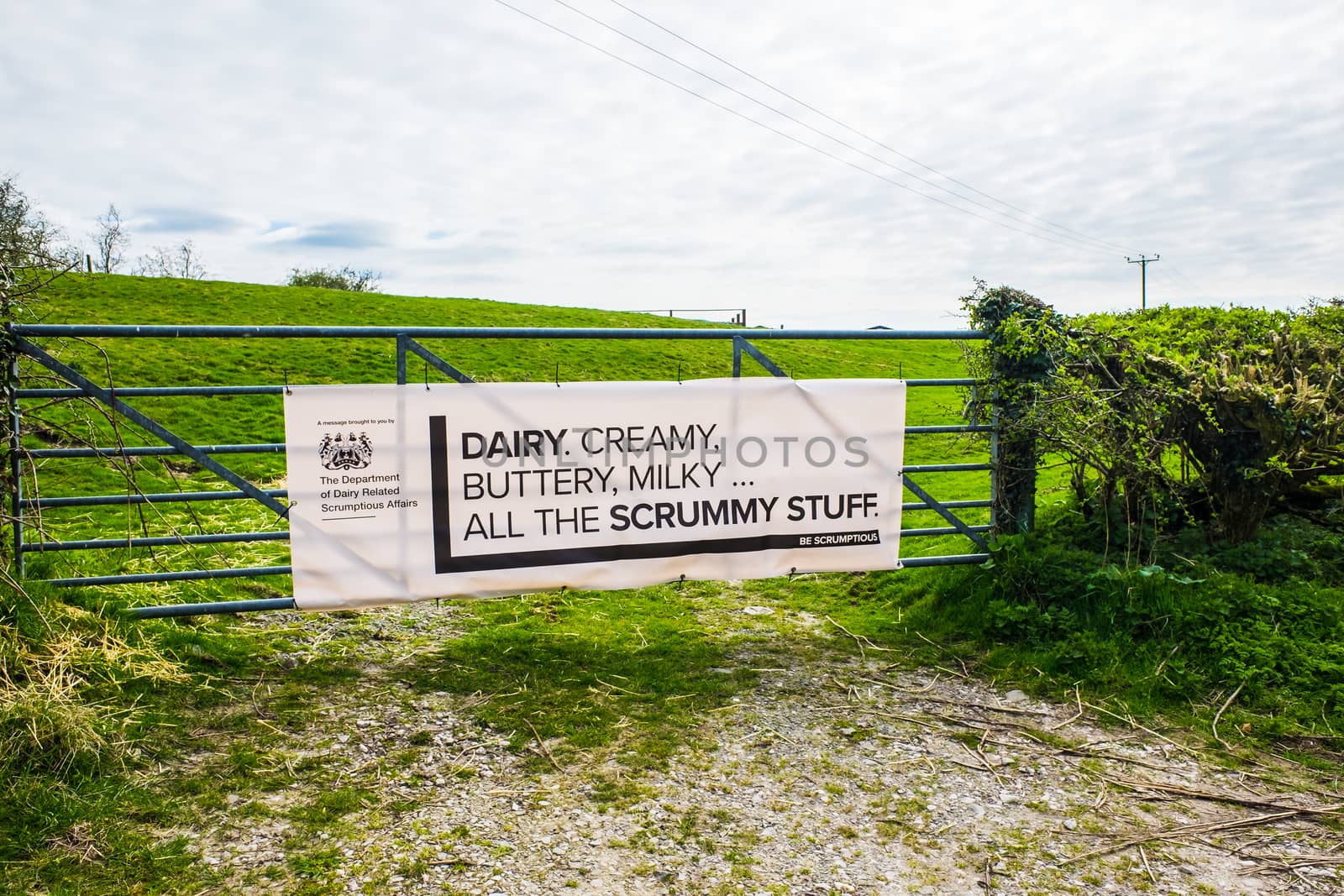 Dairy products sign on metal farm gate in Lancashire