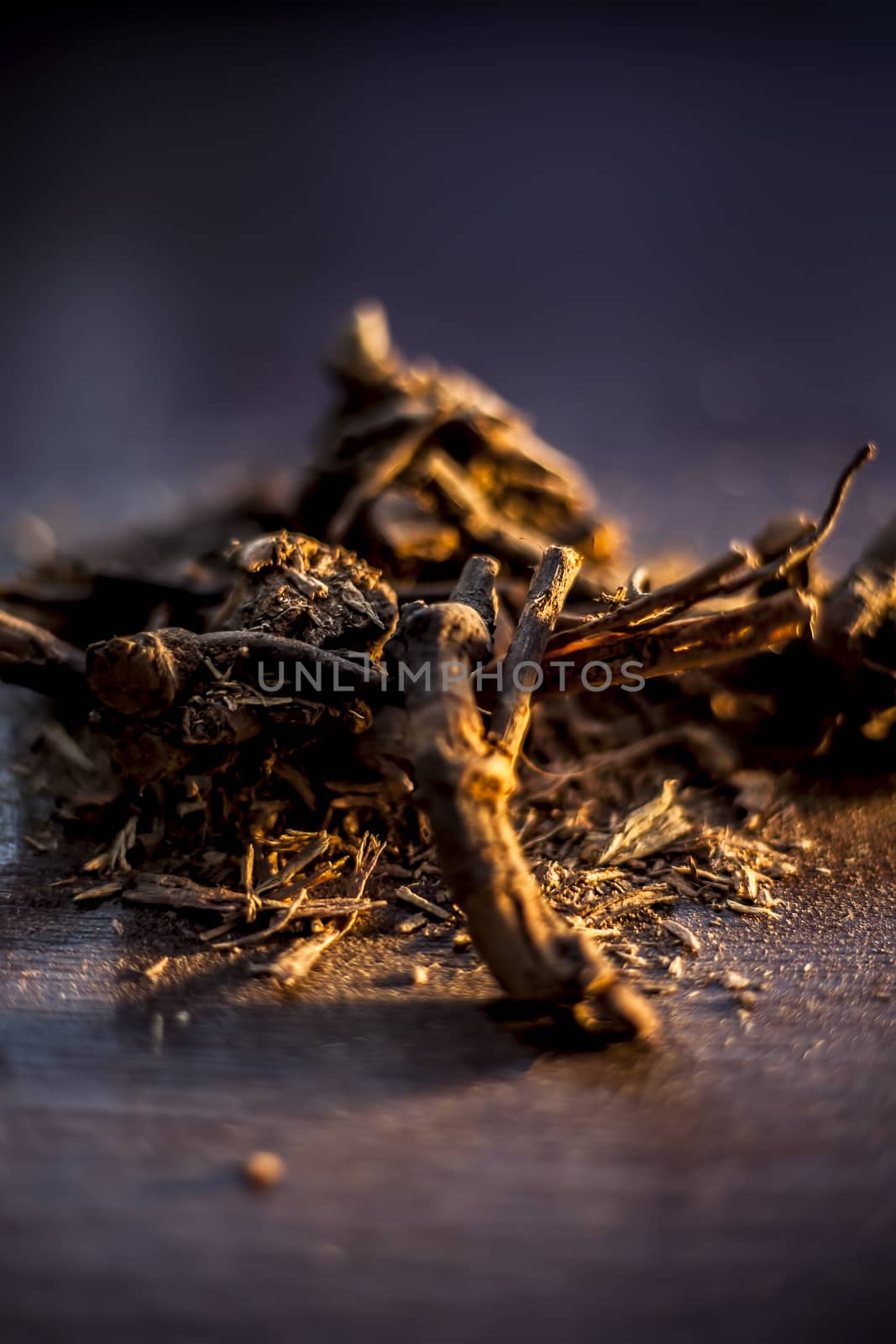 Close up of raw ayurvedic herb i.e., chitrak/Plumbago zeylanica roots on the brown-colored shiny surface along with its powder. Vertical shot. by mirzamlk