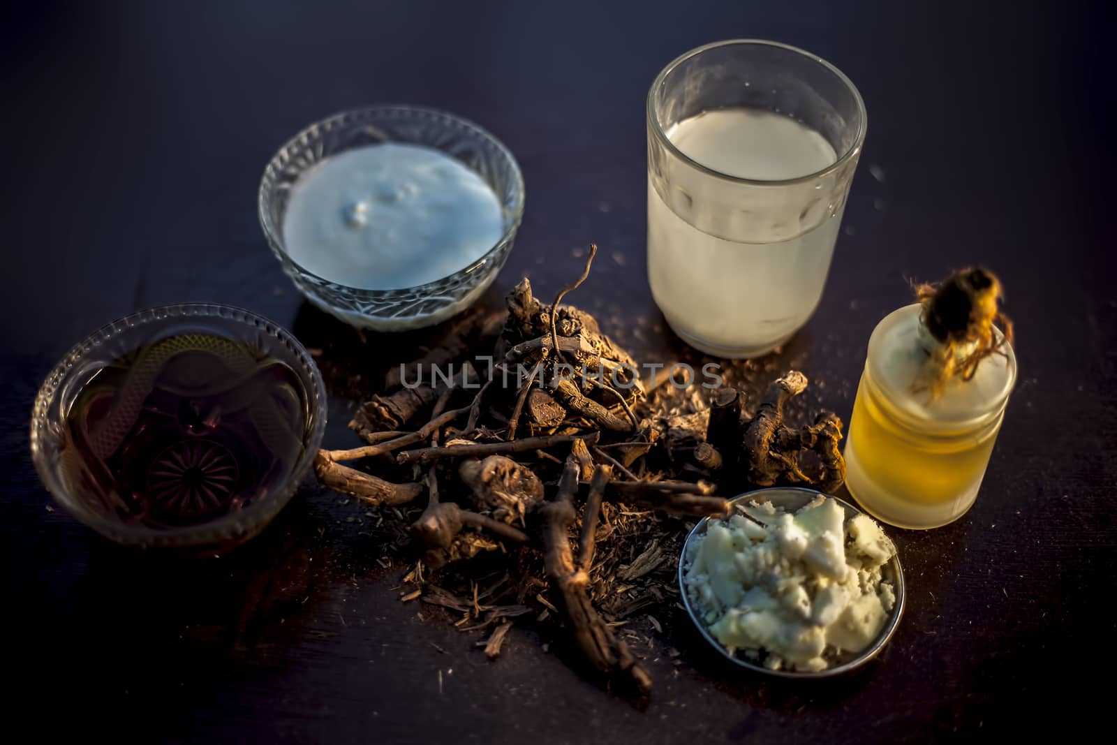 Raw ayurvedic herb chitrak/Plumbago zeylanica roots on the brown-colored shiny surface with some buttermilk, ghee or clarified butter, its extract, curd, and honey with it used in ayurvedic therapy. by mirzamlk