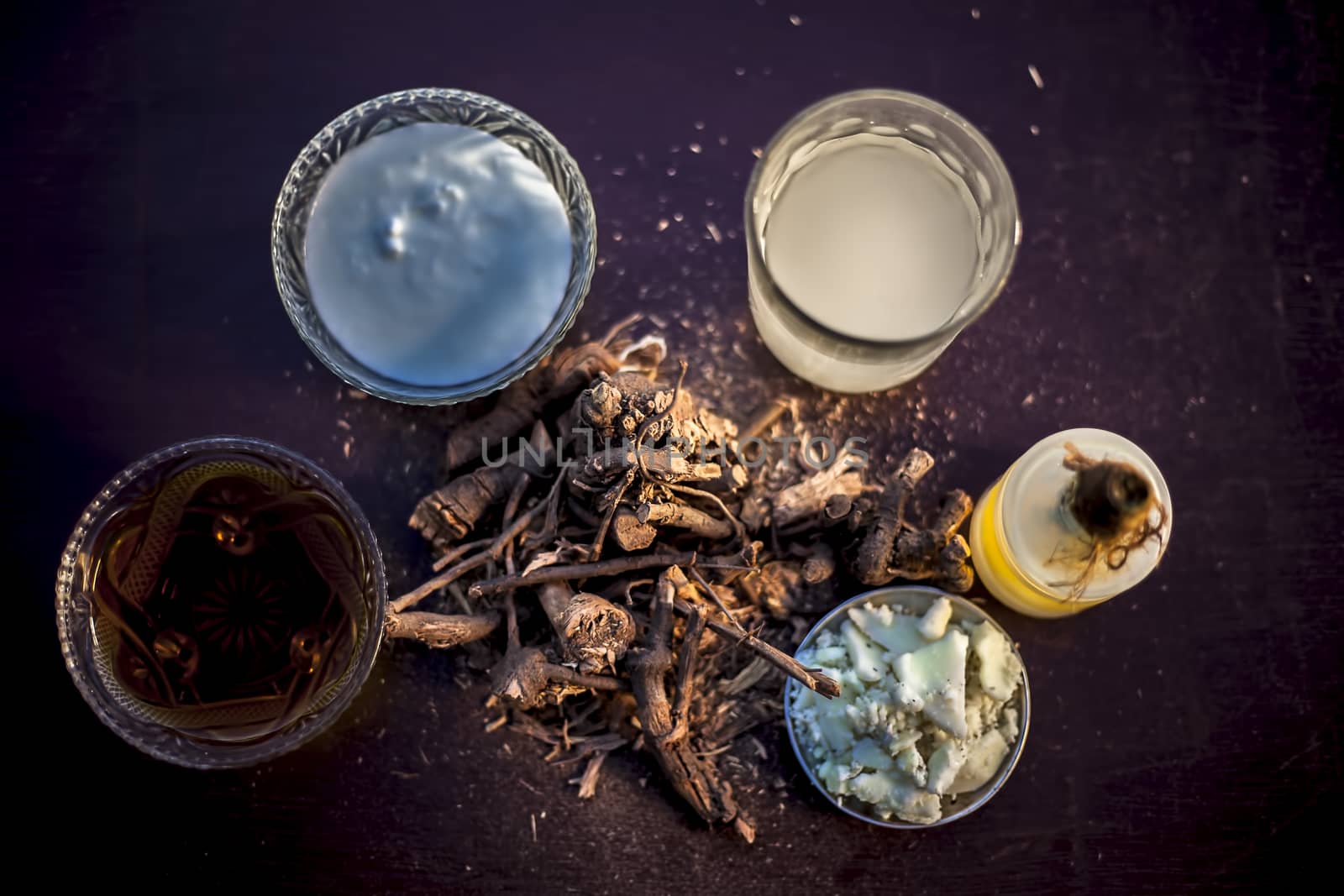Raw ayurvedic herb chitrak/Plumbago zeylanica roots on the brown-colored shiny surface with some buttermilk, ghee or clarified butter, its extract, curd, and honey with it used in ayurvedic therapy.