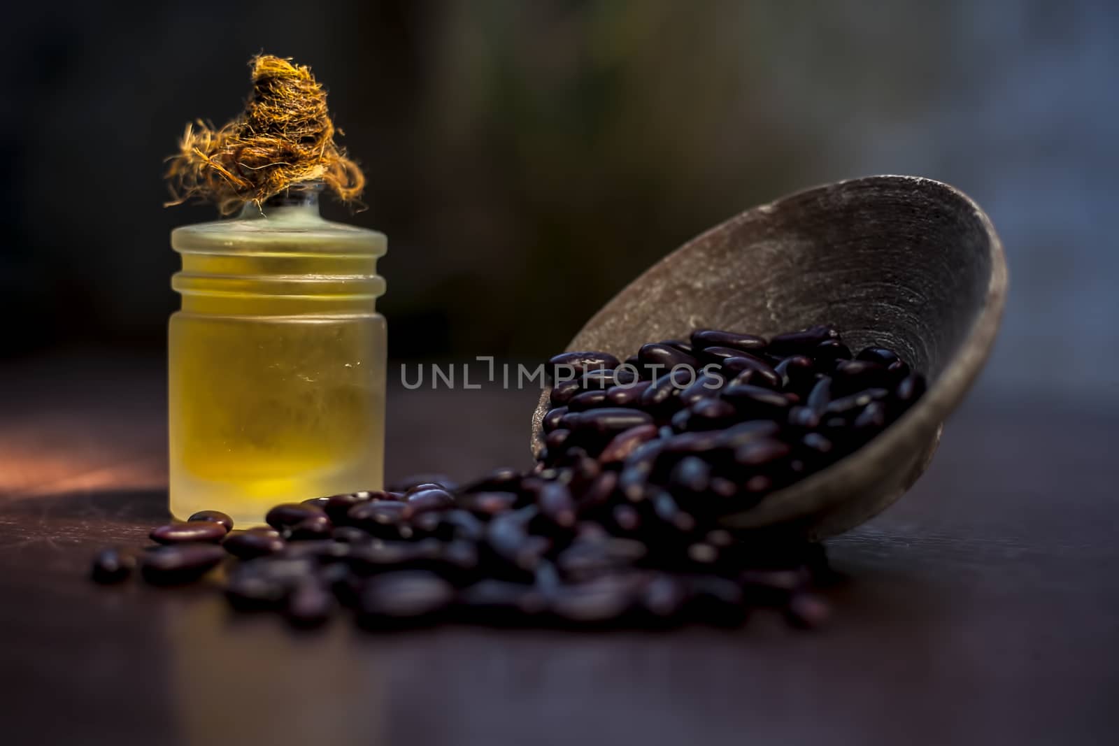 Close up of raw kidney beans on brown colored surface in a clay bowl and its oil in a small transparent glass bottle with a spotlight on it. Horizontal shot. by mirzamlk