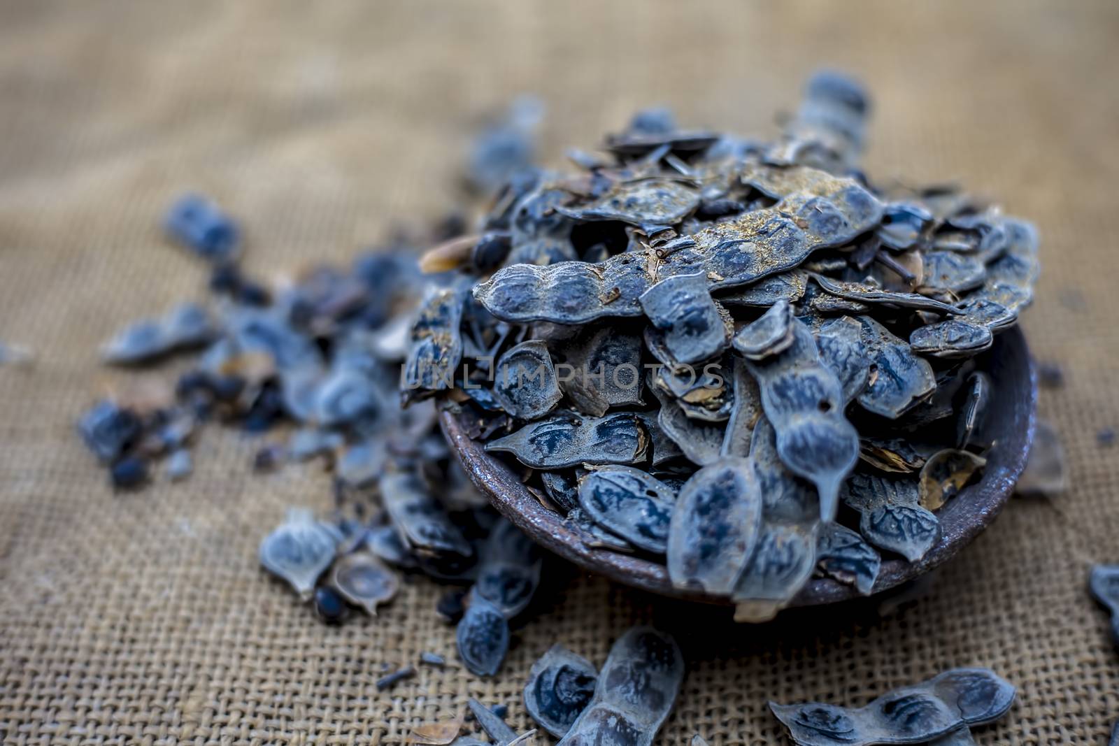 Close up of babool ayurvedic herb in a clay bowl on a gunny bag's surface for the treatment of various tooth-related diseases. Horizontal shot.