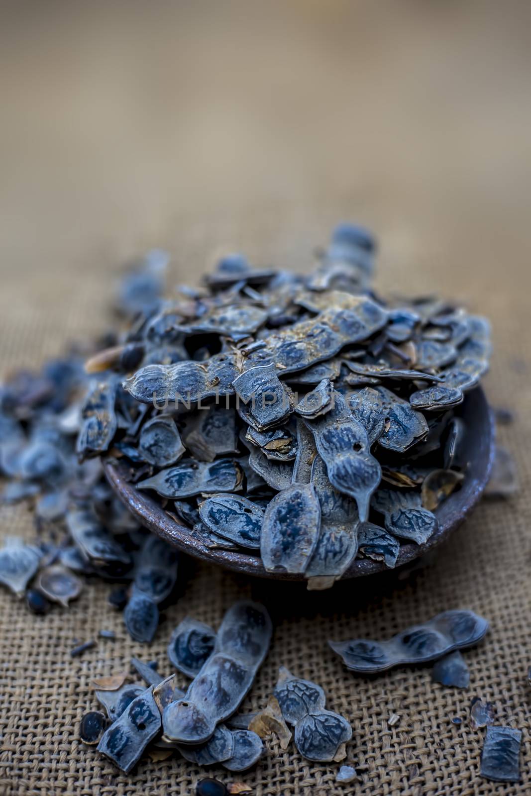 Close up of babool ayurvedic herb in a clay bowl on a gunny bag's surface for the treatment of various tooth-related diseases. Vertical shot. by mirzamlk