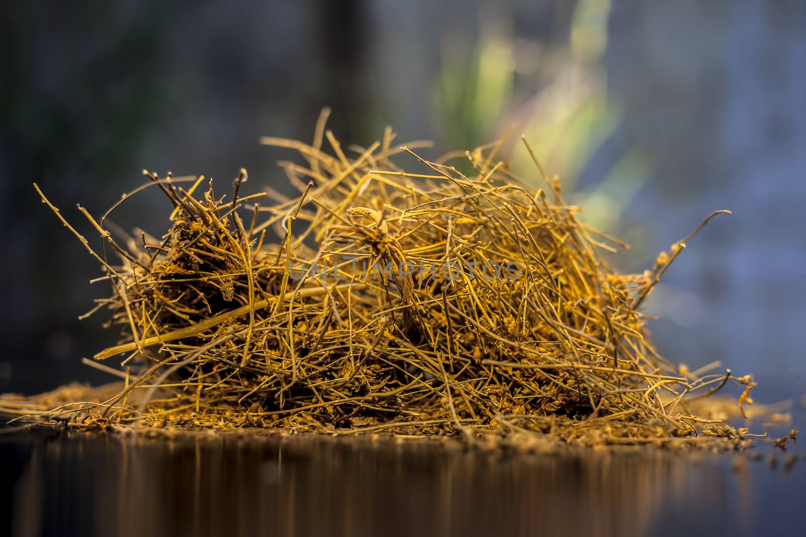 Close up shot of ayurvedic memory booster herb shankhpushpi or Convolvulus pluricaulis roots on black wooden surface with selective focus and blurred background. by mirzamlk