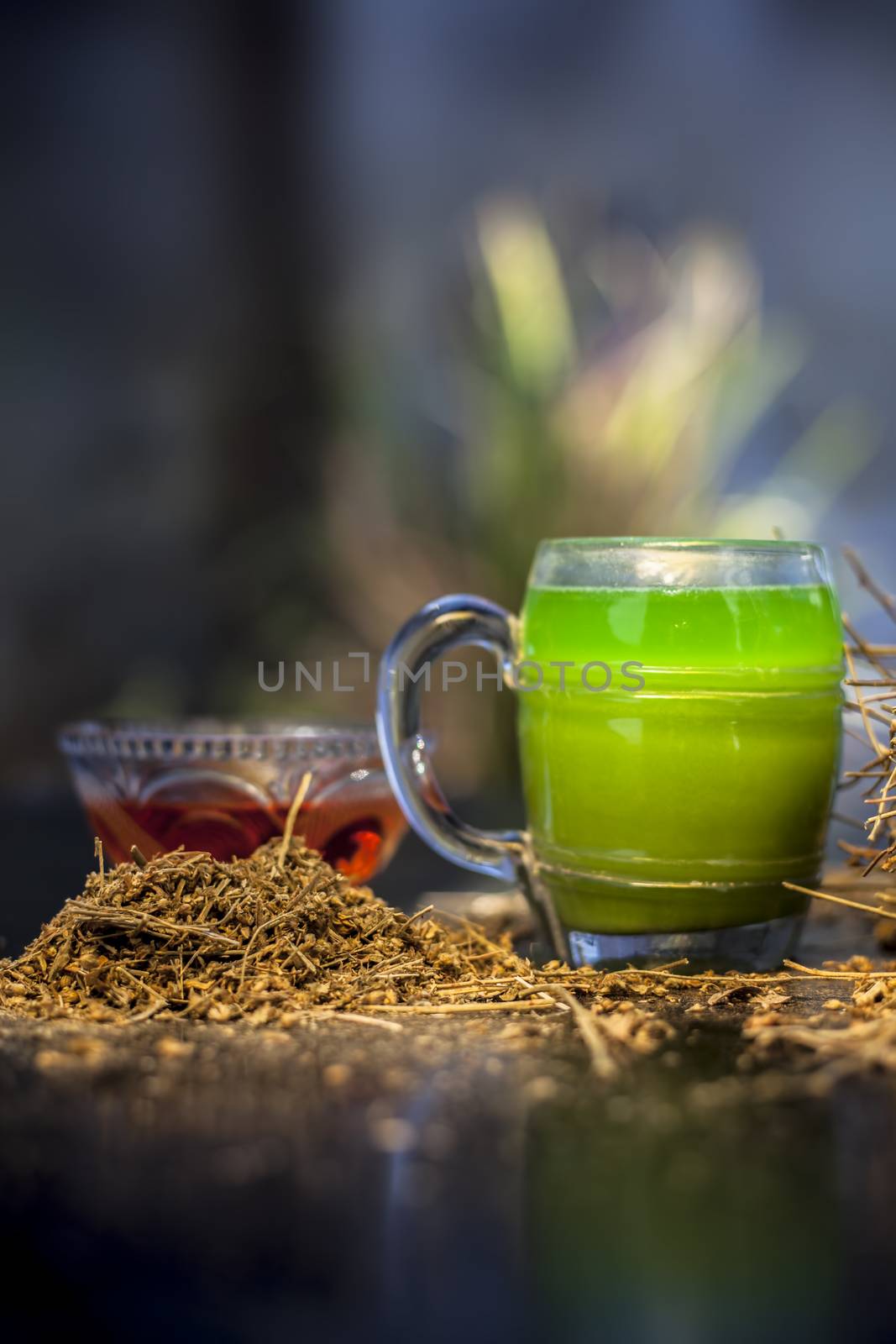 Close up of green-colored extracted juice shankhpushpi or Convolvulus pluricaulis roots along with its extract herbal juice in a glass on a black wooden surface. by mirzamlk
