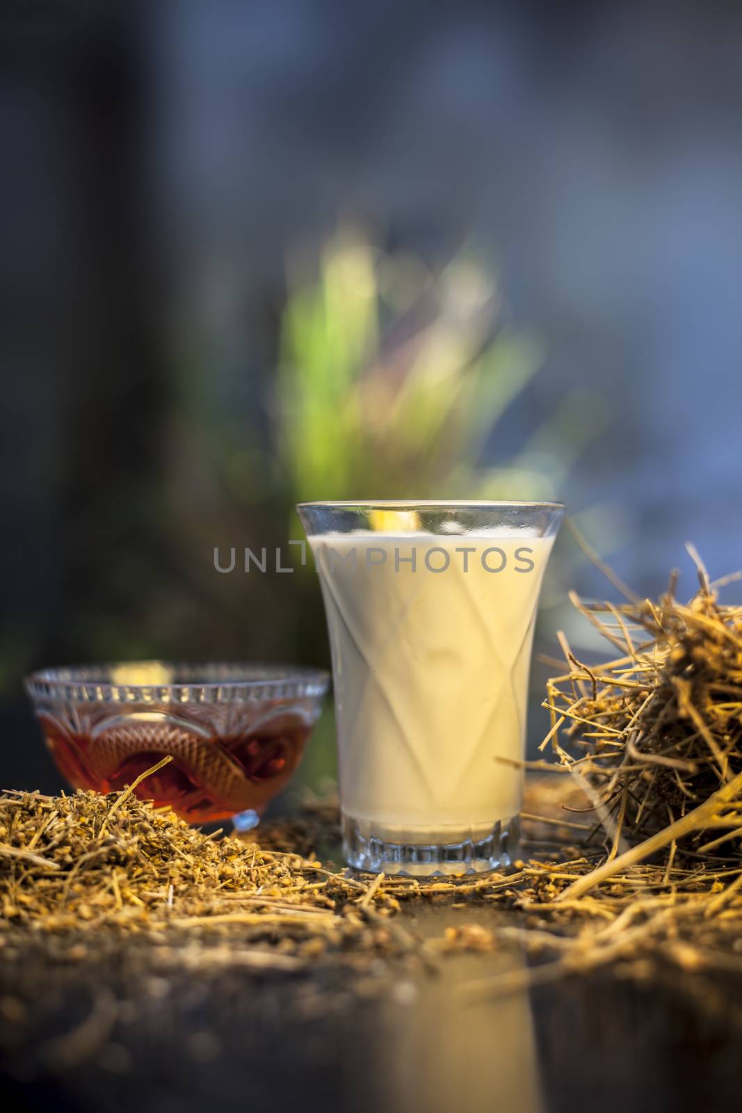 shankhpushpi or Convolvulus pluricaulis roots along with some milk and honey on the wooden surface making a memory booster tonic. Vertical shot.