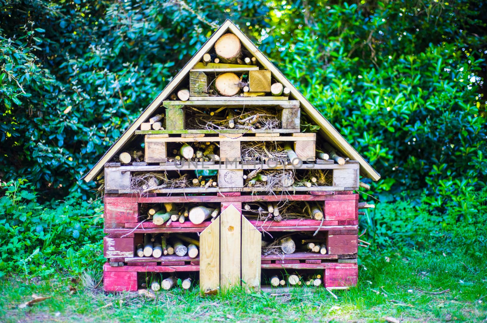 insect hotel decorative wood house with compartments for bugs