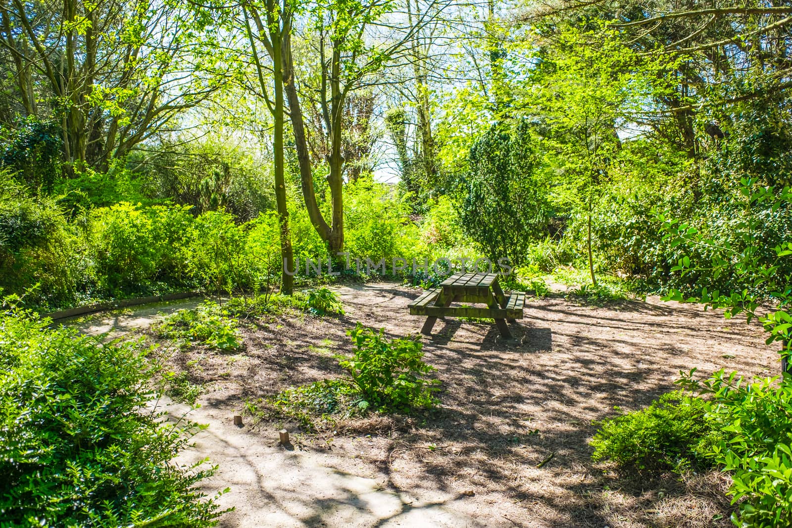 Picnic table on woodland walk in Happy Mount Park UK