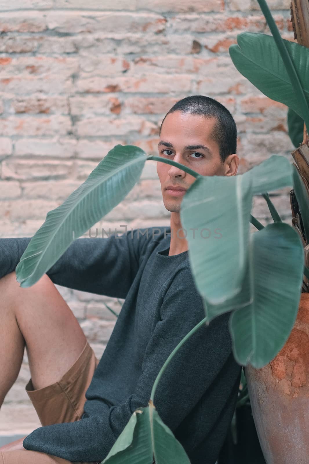 Exotic caucasian young man with a grey jersey and brown shorts looking at the camera posing behind a big tropical plant