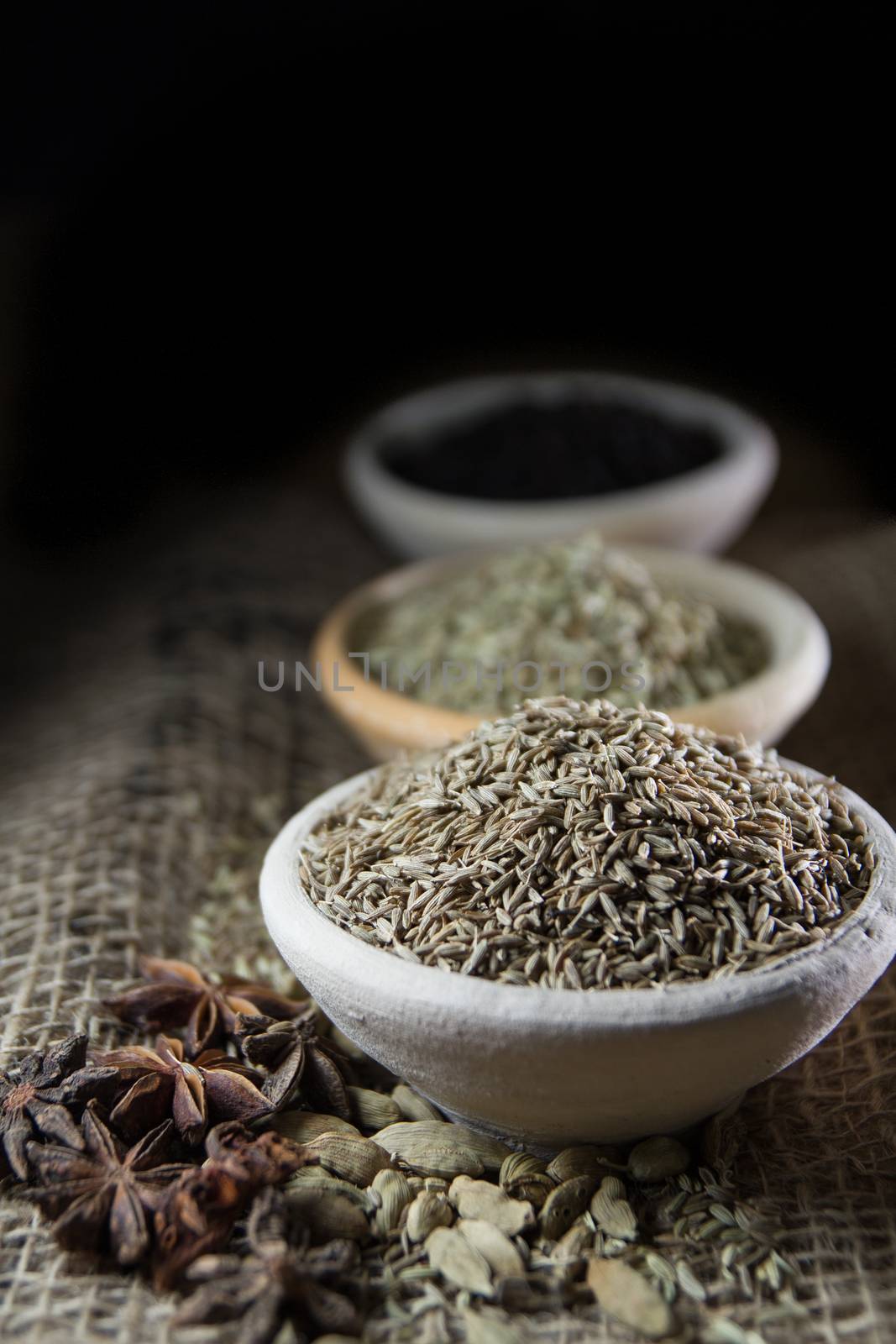 Spices, Cooking ingredients by tehcheesiong