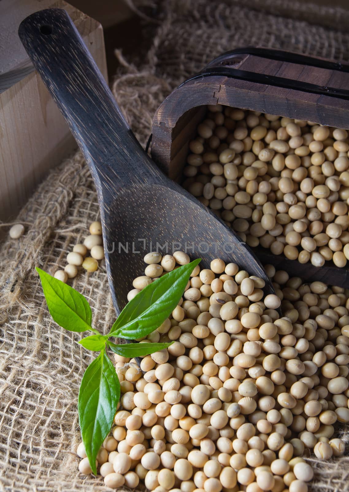 soy bean on wooden table