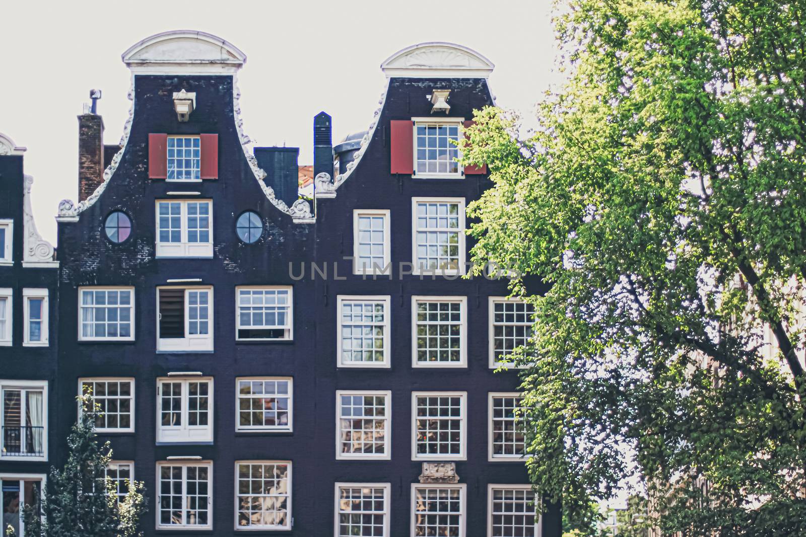 Main downtown street in the city center of Amsterdam in Netherlands on sunny day