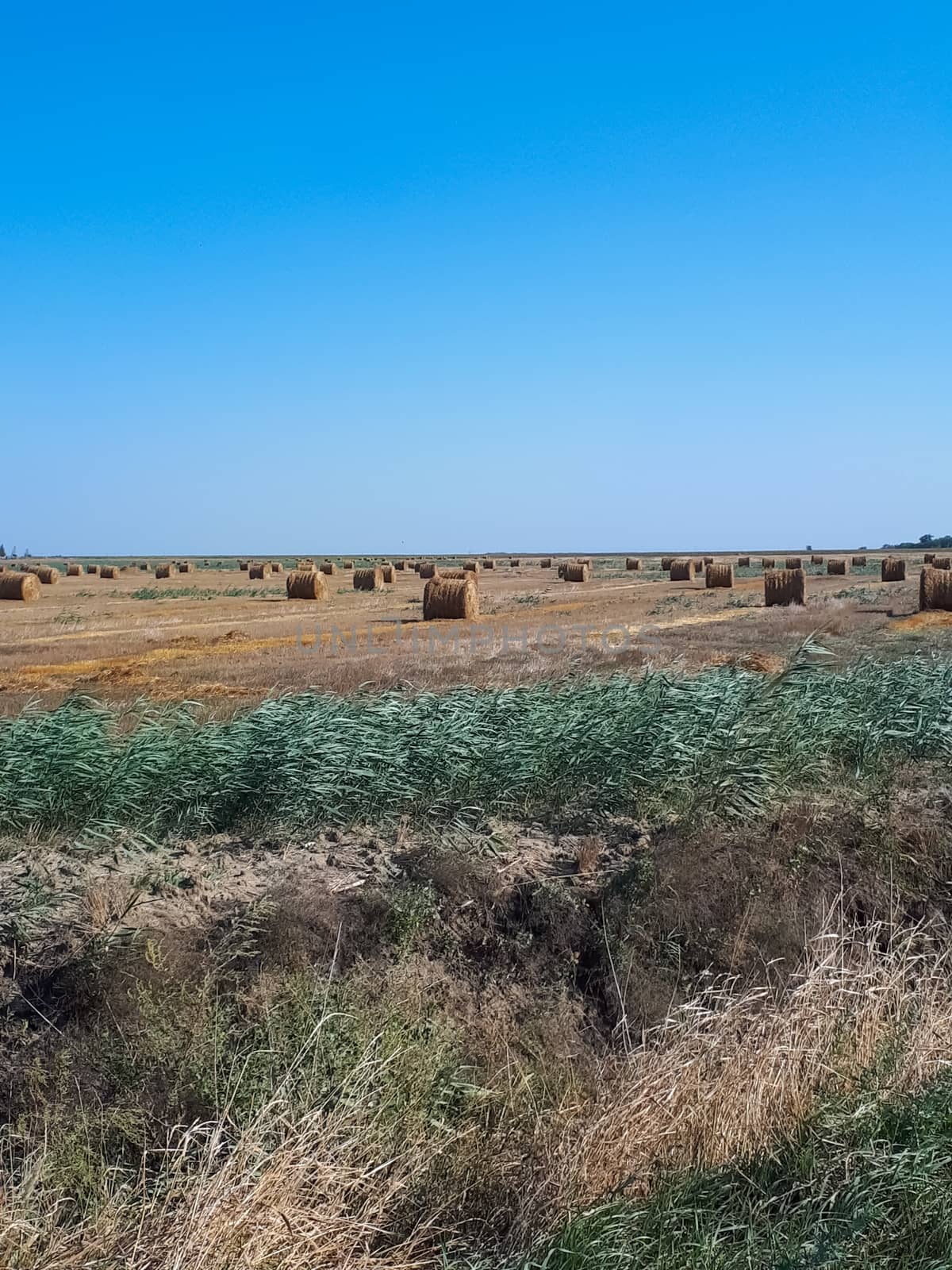 Hay and bales of hay on the field against the blue sky.