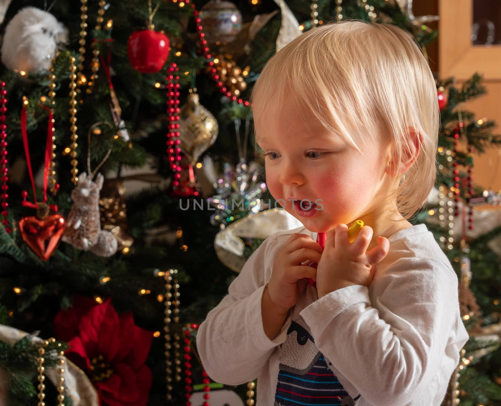 Side profile view of a young caucasian baby boy staring at the magic of an Xmas tree for the first time in wonder