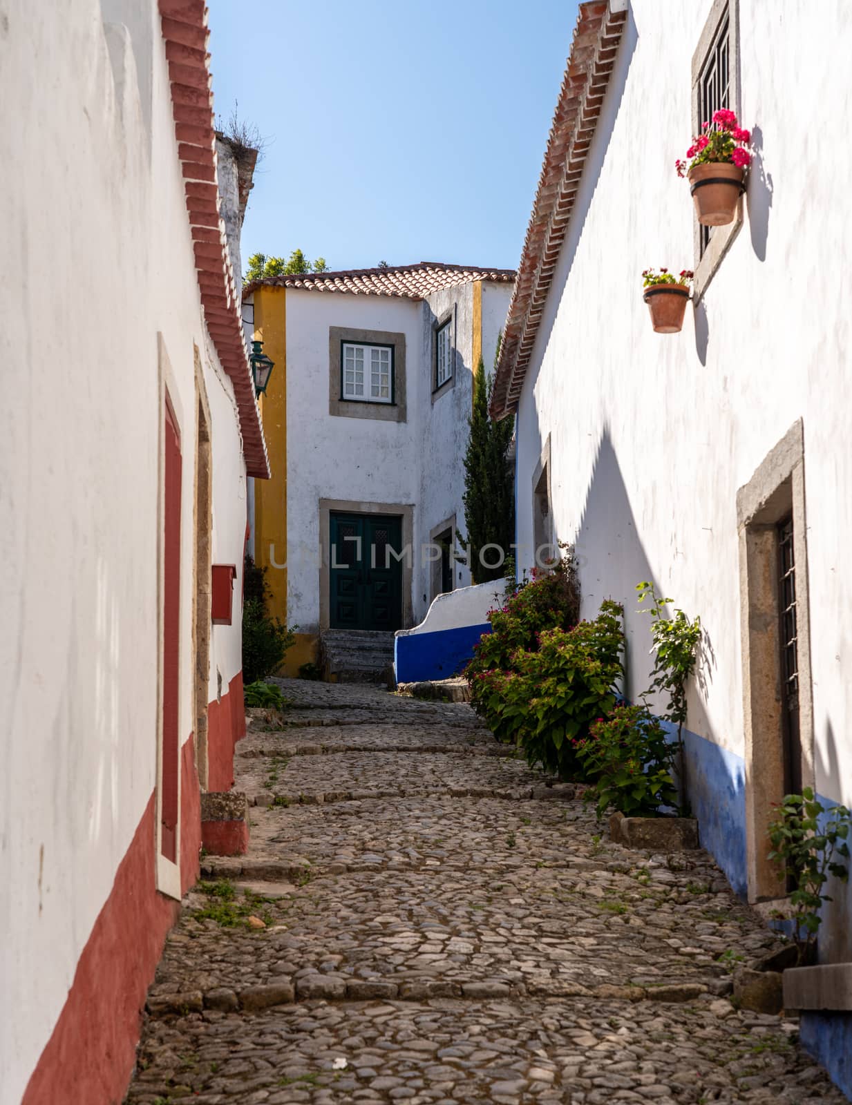 Narrow street with flowers in the old medieval walled city of Obidos in Portugal