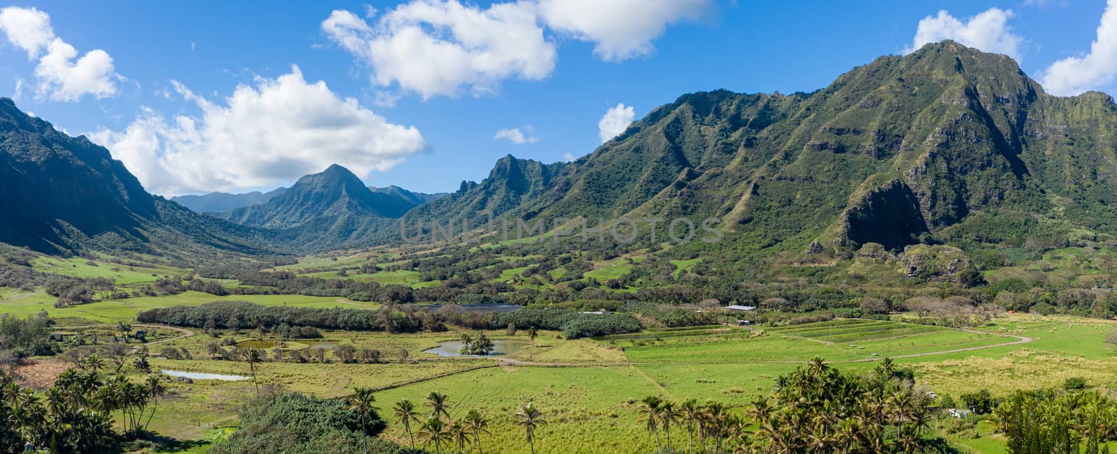 Panorama of Kaaawa valley with mountains in the background by steheap