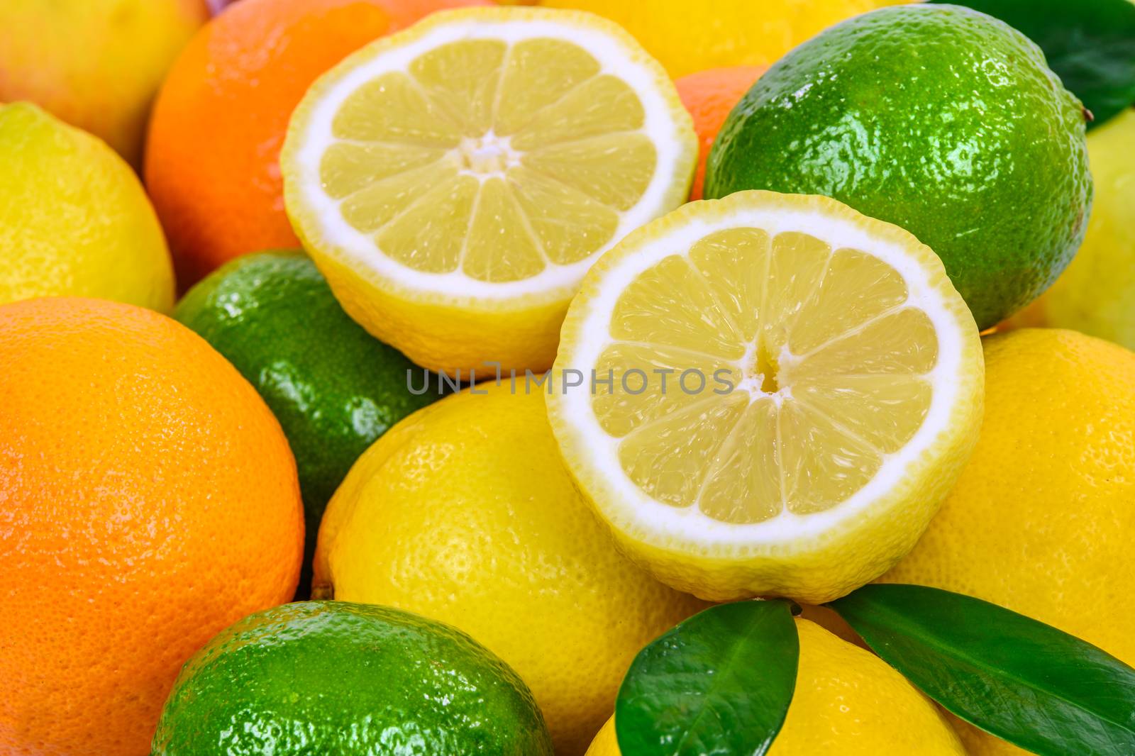 Beautiful background with various fresh citrus fruits.