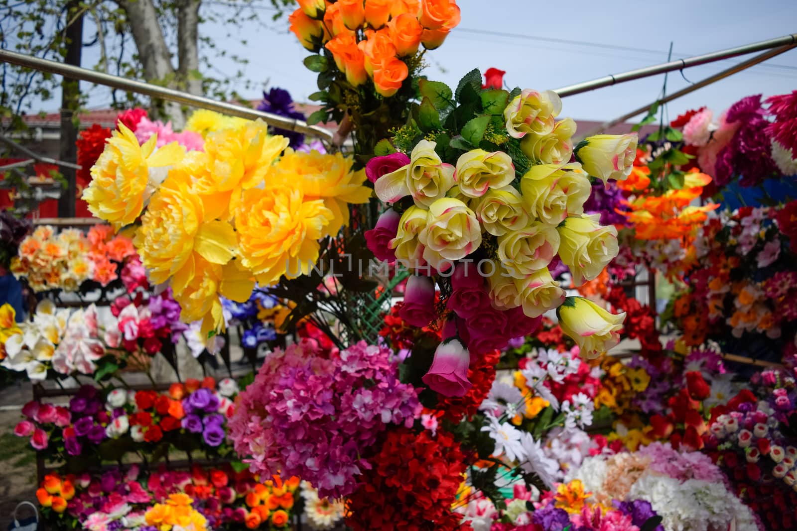 The flower shop counter. Lots of different colors.