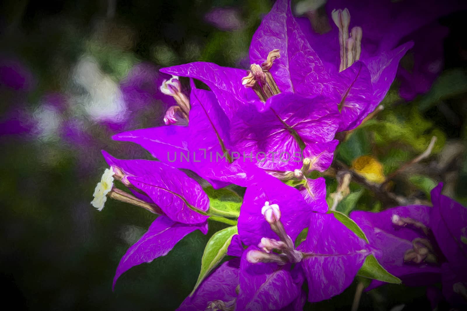 Purple flower artistic composition by ankarb