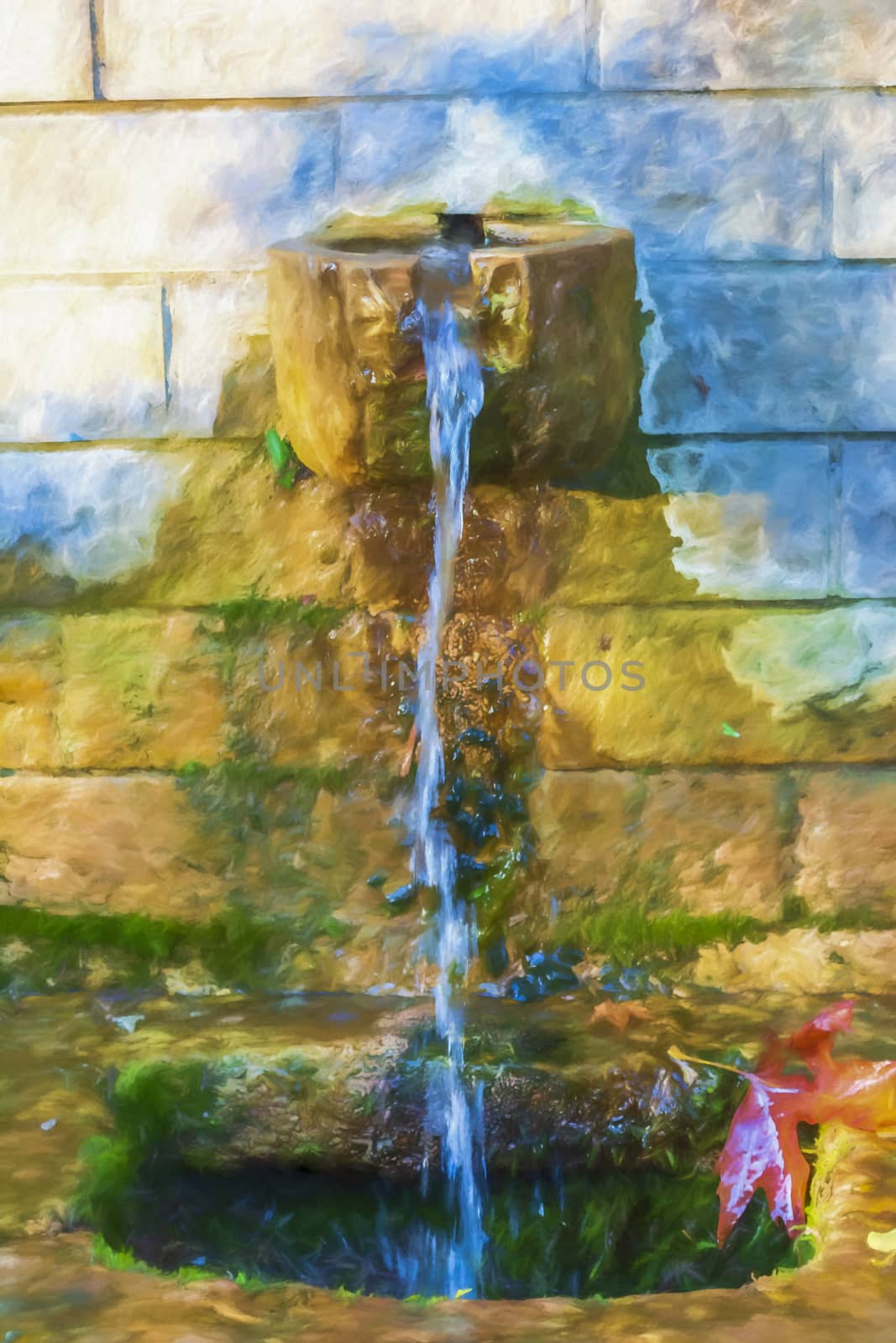 Fountain and leaf on stone wall by ankarb