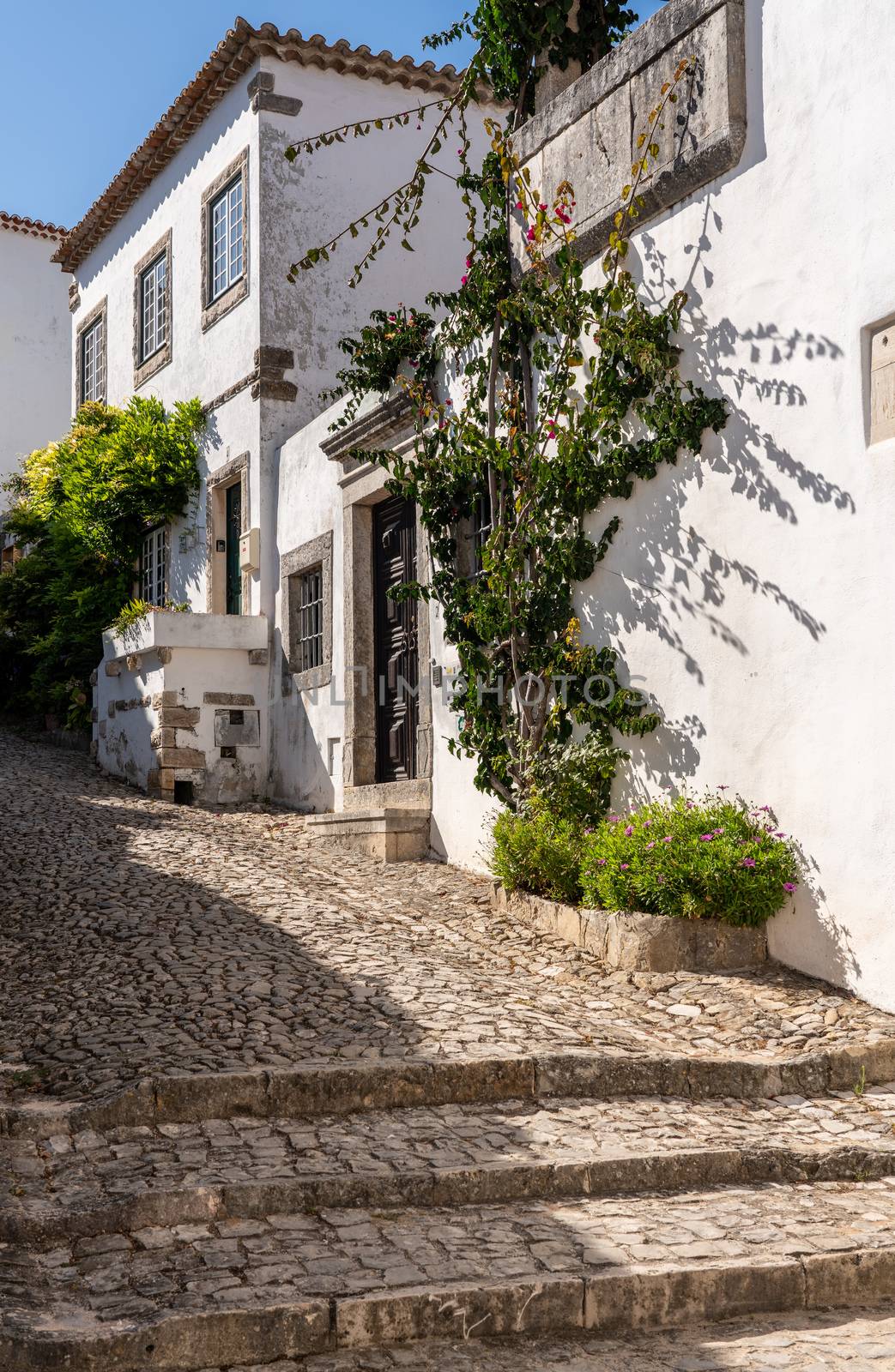 Steep street with homes in the old medieval walled city of Obidos in Portugal