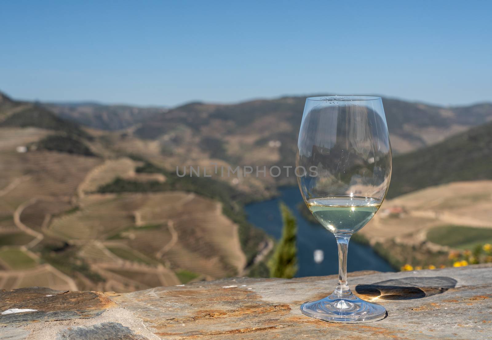 Glass of white wine for tasting above the hillsides of the Douro valley in Portugal