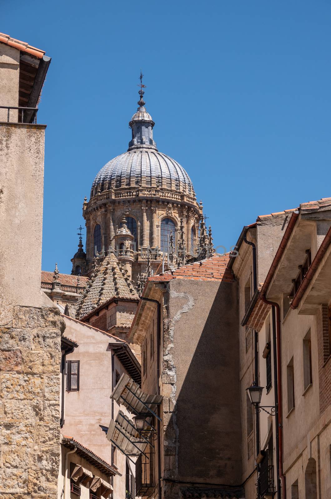 Ornate dome on the new Cathedral in Salamanca by steheap