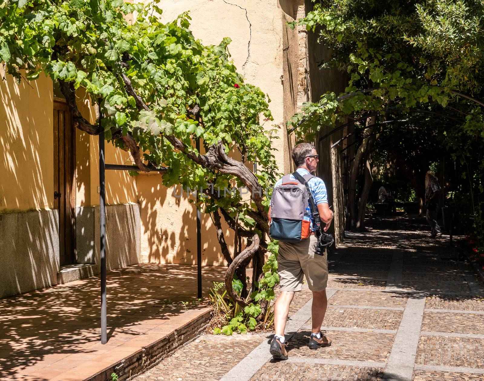 Senior adult photographer strolls through the Huerto de Calixto y Melibea gardens near the cathedrals in Salamanca Spain