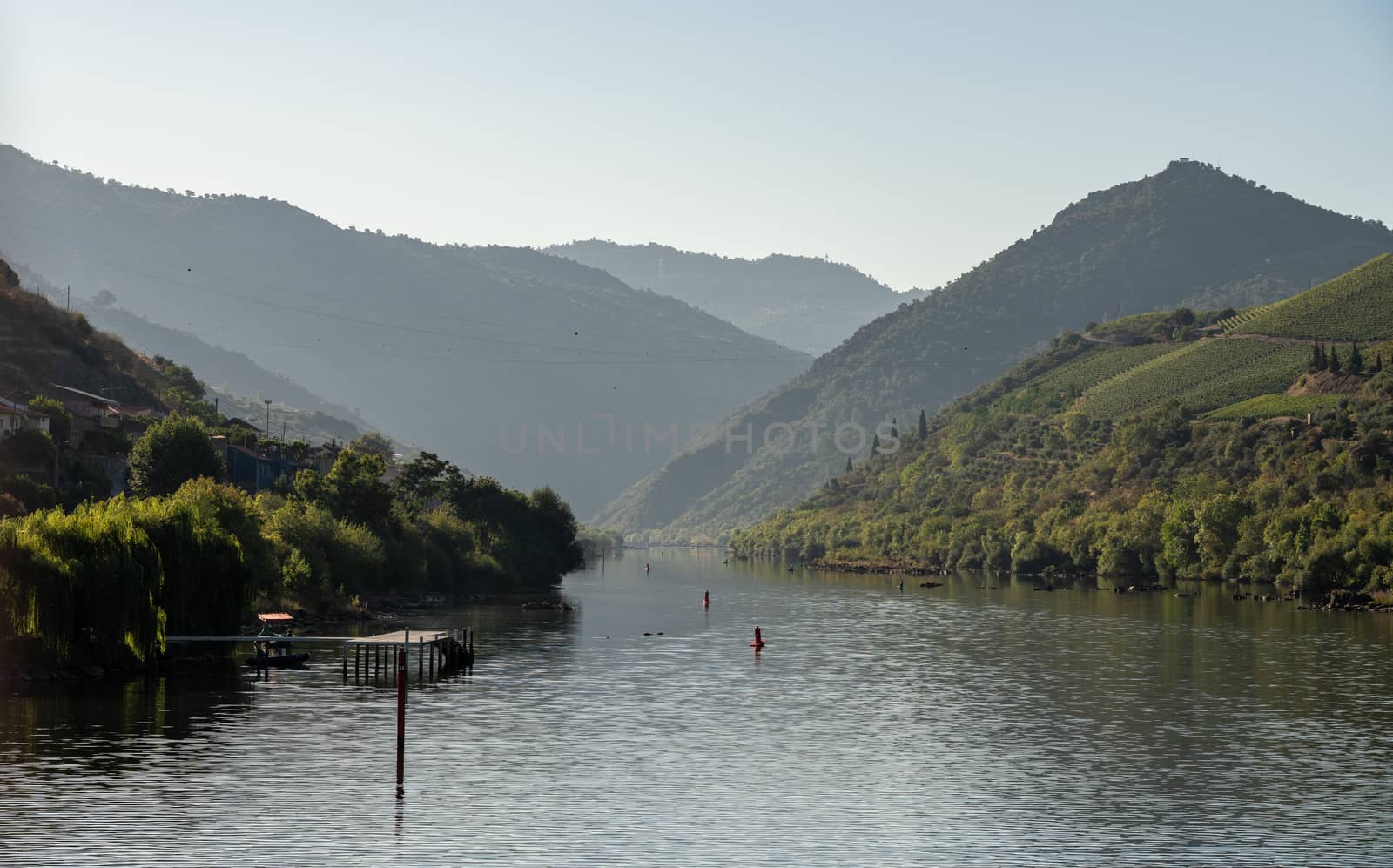 River Douro flowing through narrow gorge with terraces of wines and vineyards on the banks in Portugal near Pinhao