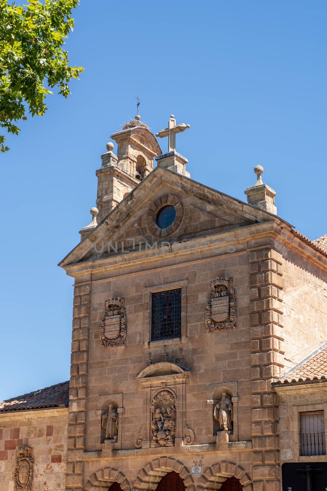 Stork nest on bell tower of Church of San Pablo in Salamanca by steheap