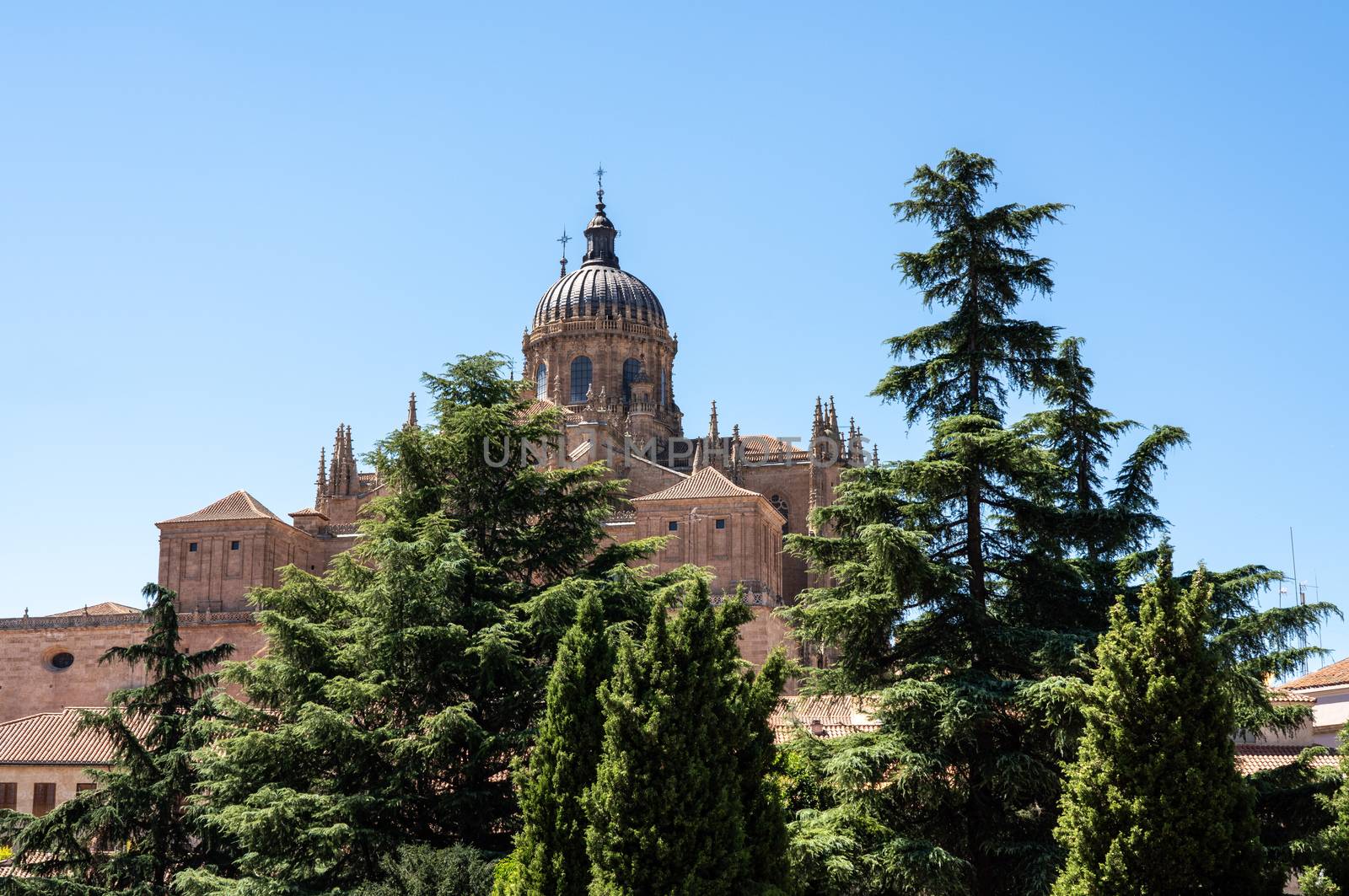 Exterior view of the dome and carvings on the roof of the old Cathedral in Salamanca