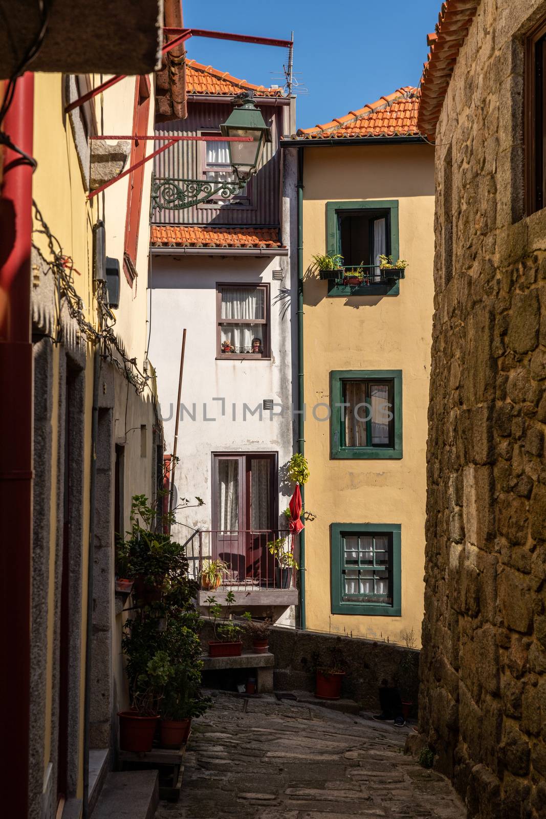 Narrow streets and homes in the Ribeira district of Porto by steheap