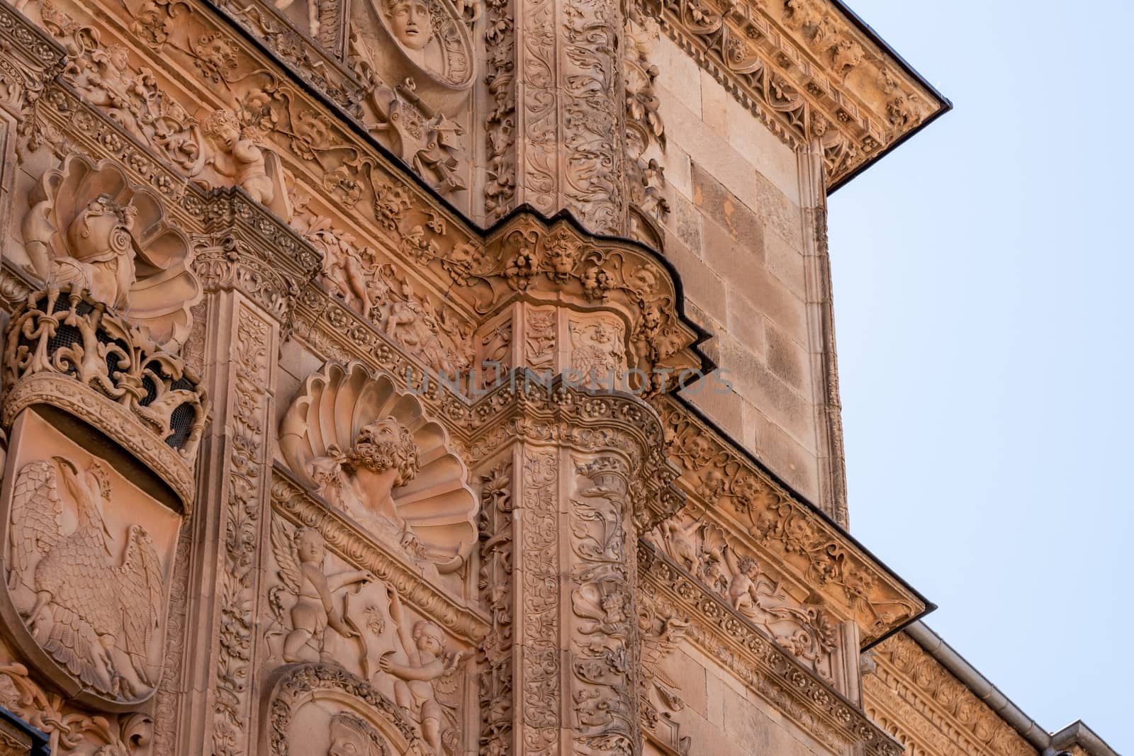 Detail of the ornate facade in the plateresque style at the University of Salamanca in Spain