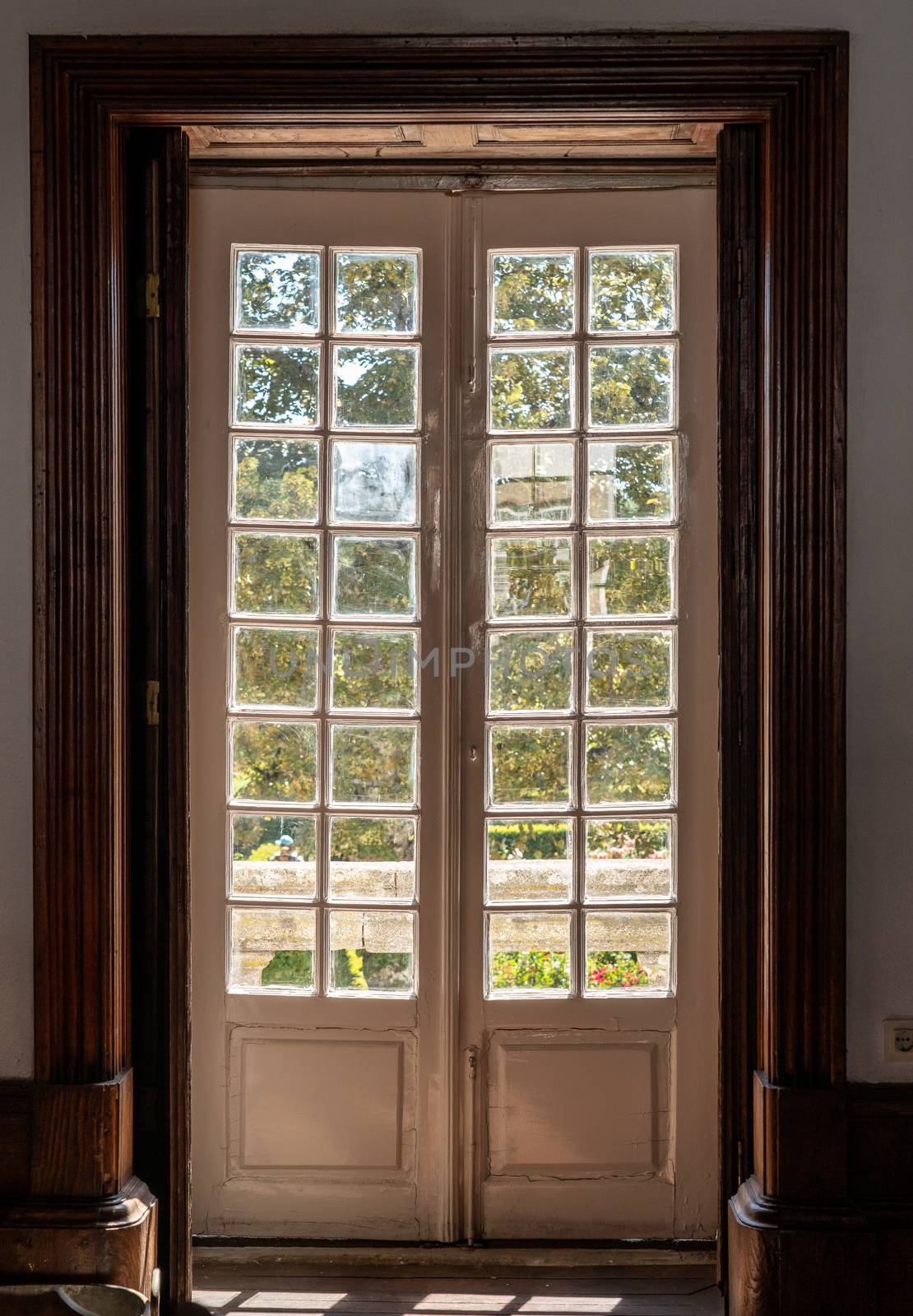 Old wooden glazed doors leading to ornate garden in old mansion by steheap