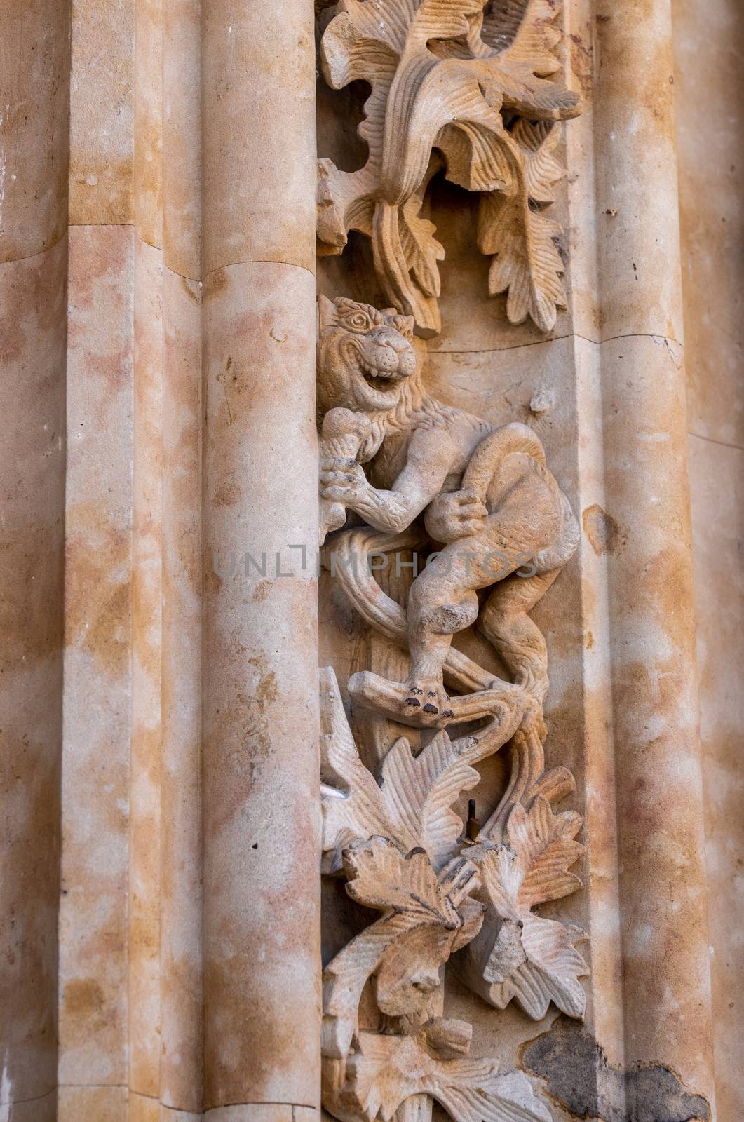 Humorous carving of lion with ice cream at the entrance to the new Cathedral in Salamanca by steheap