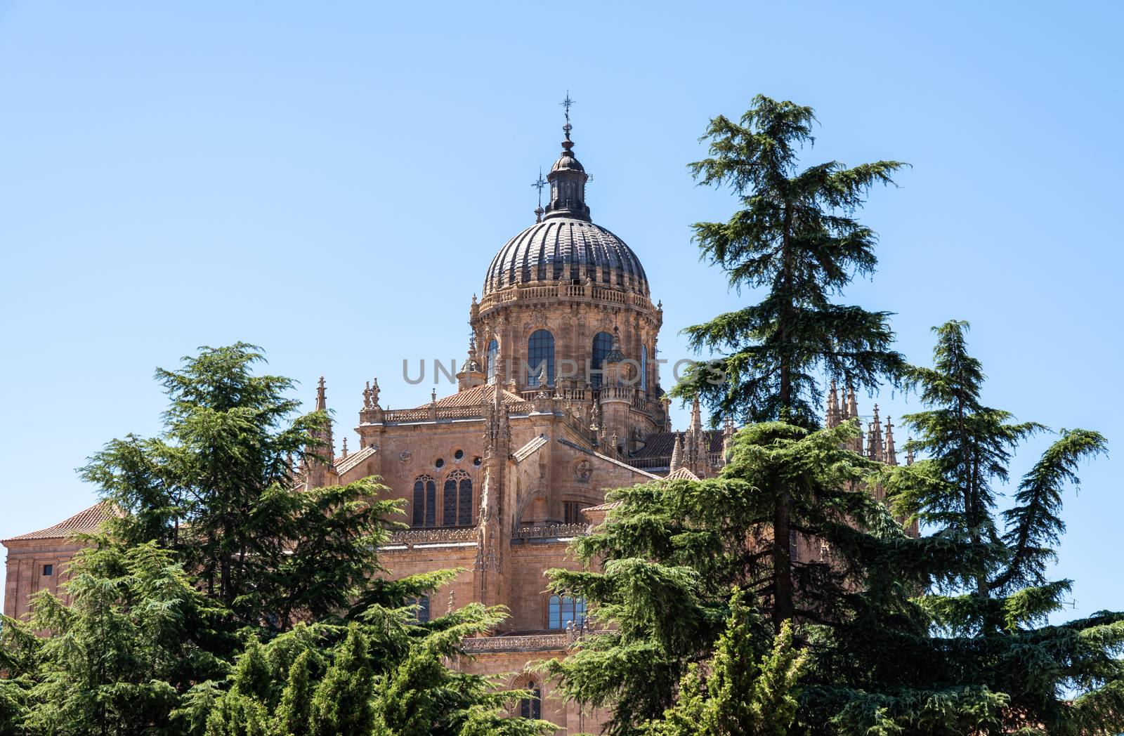 Exterior view of the dome and carvings on the roof of the old Cathedral in Salamanca