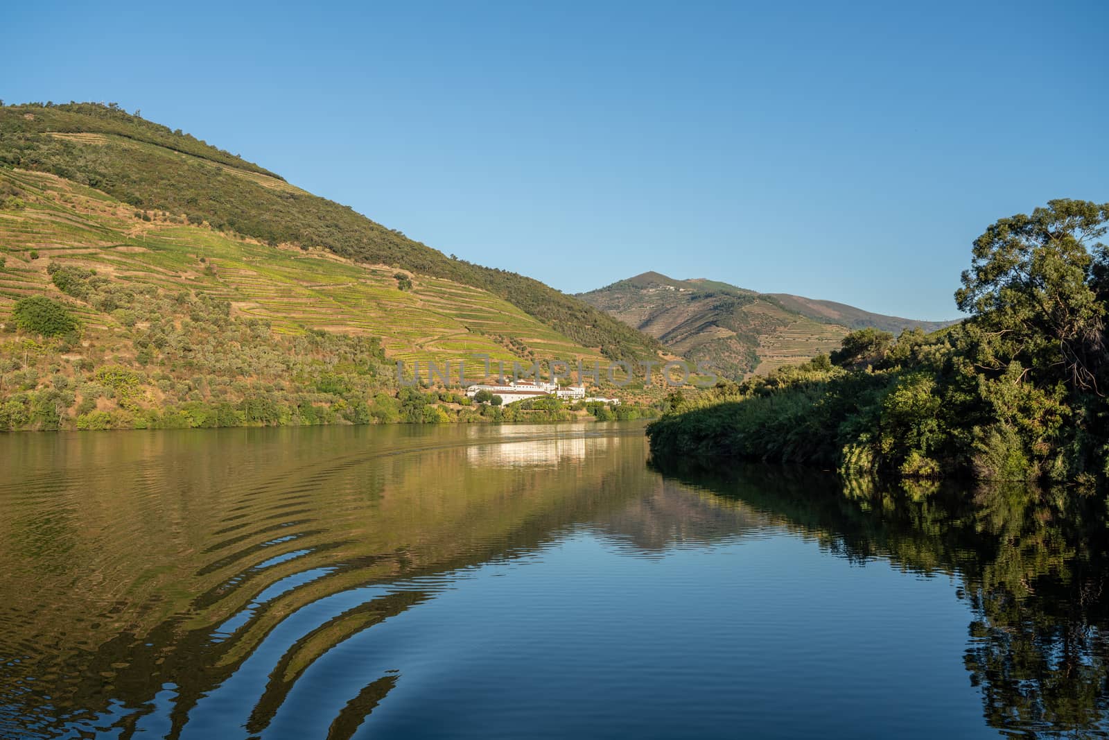 Whitewashed old Quinta or vineyard building on the banks of the River Douro in Portugal near Pinhao