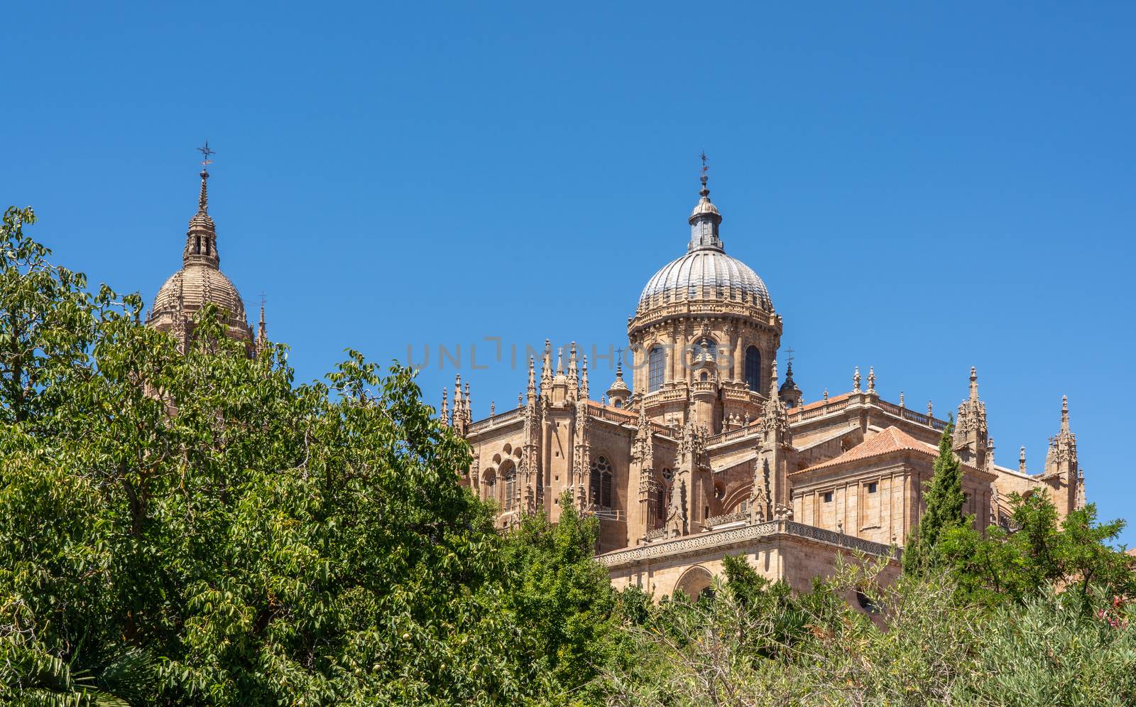 Exterior view of the dome and carvings on the roof of the old Cathedral in Salamanca