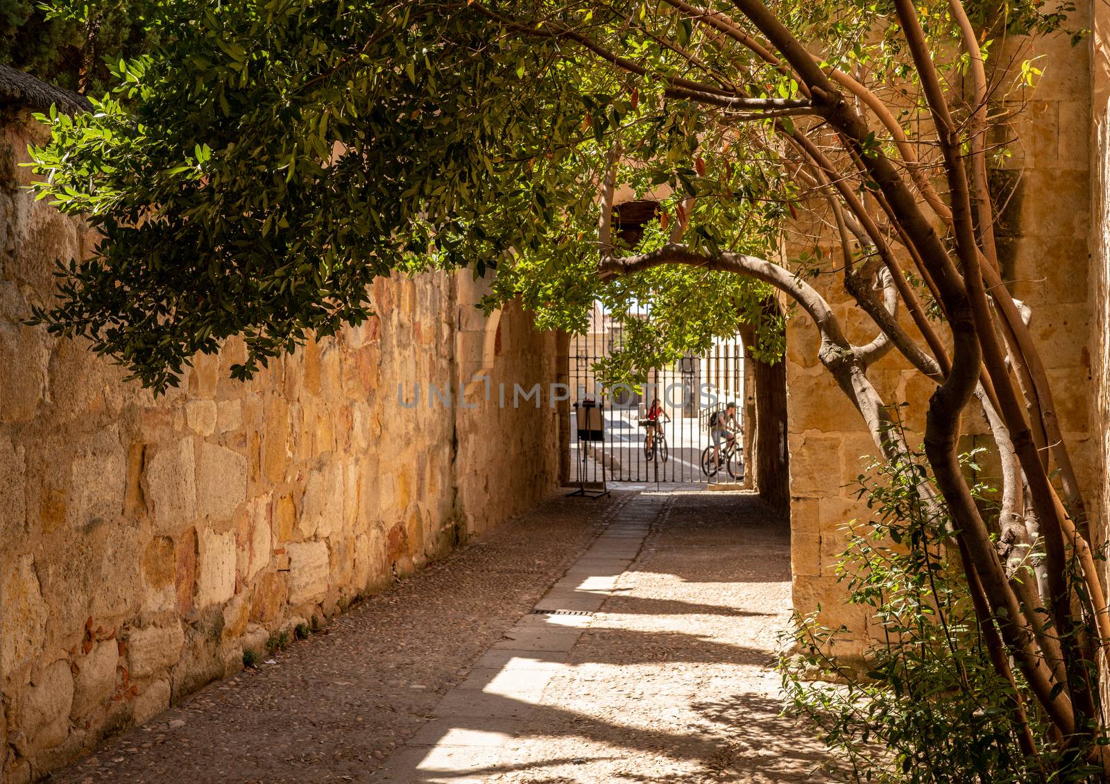 Narrow gateway from the courtyard of the museum at the University of Salamanca in Spain