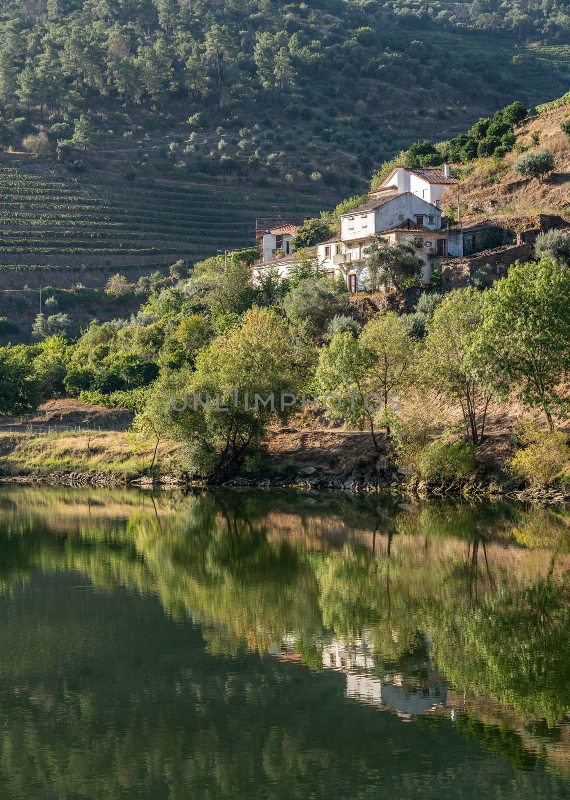 Whitewashed old Quinta or vineyard building on the banks of the River Douro in Portugal near Pinhao