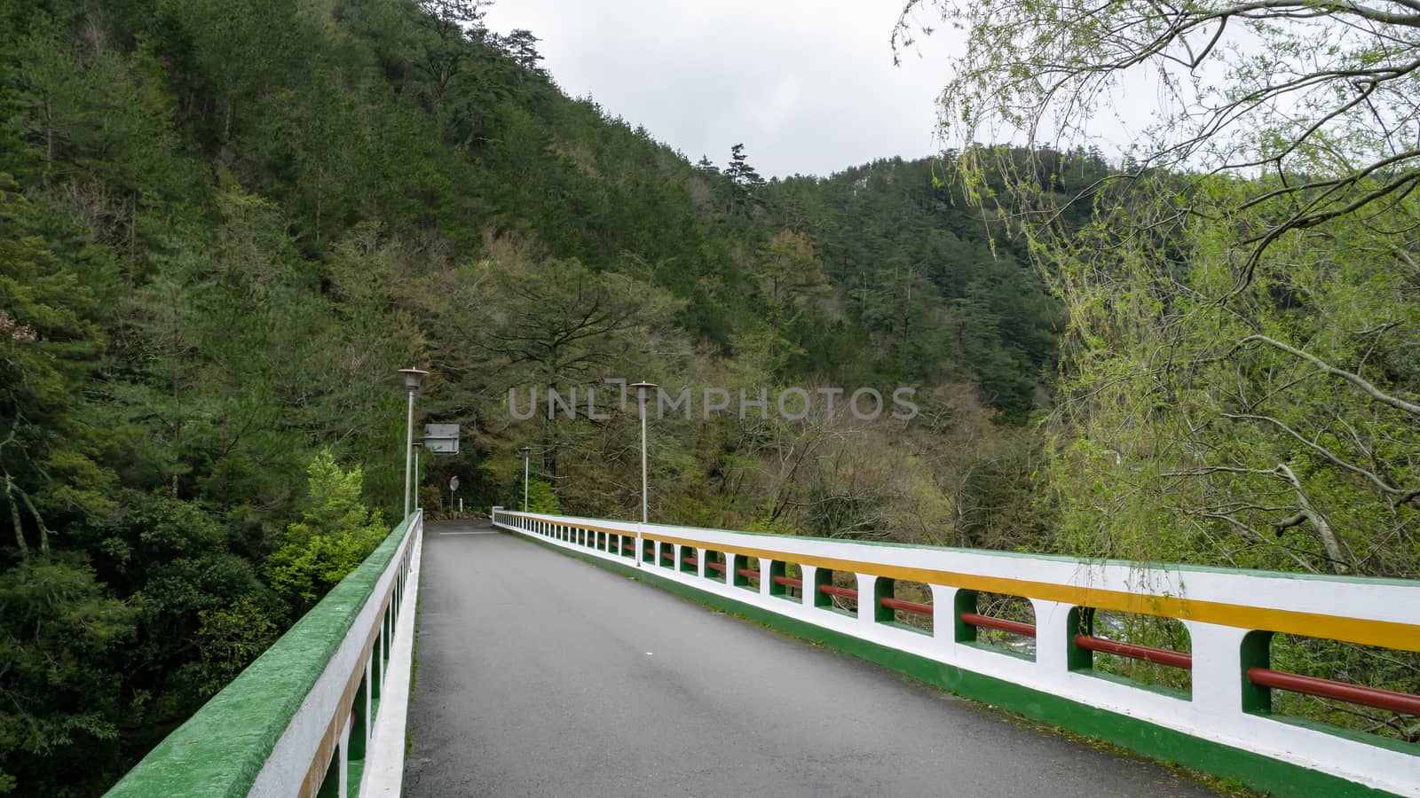 The landscape of road bridge with forest mountain at Wuling farm in taichung city, Taiwan.