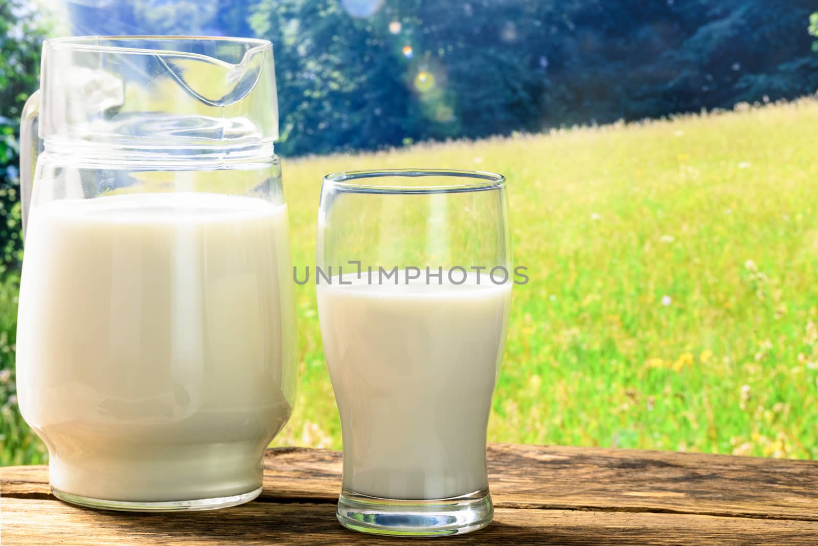 Fresh milk in a glass jug and a glass on a wooden vintage table against a sunny meadow