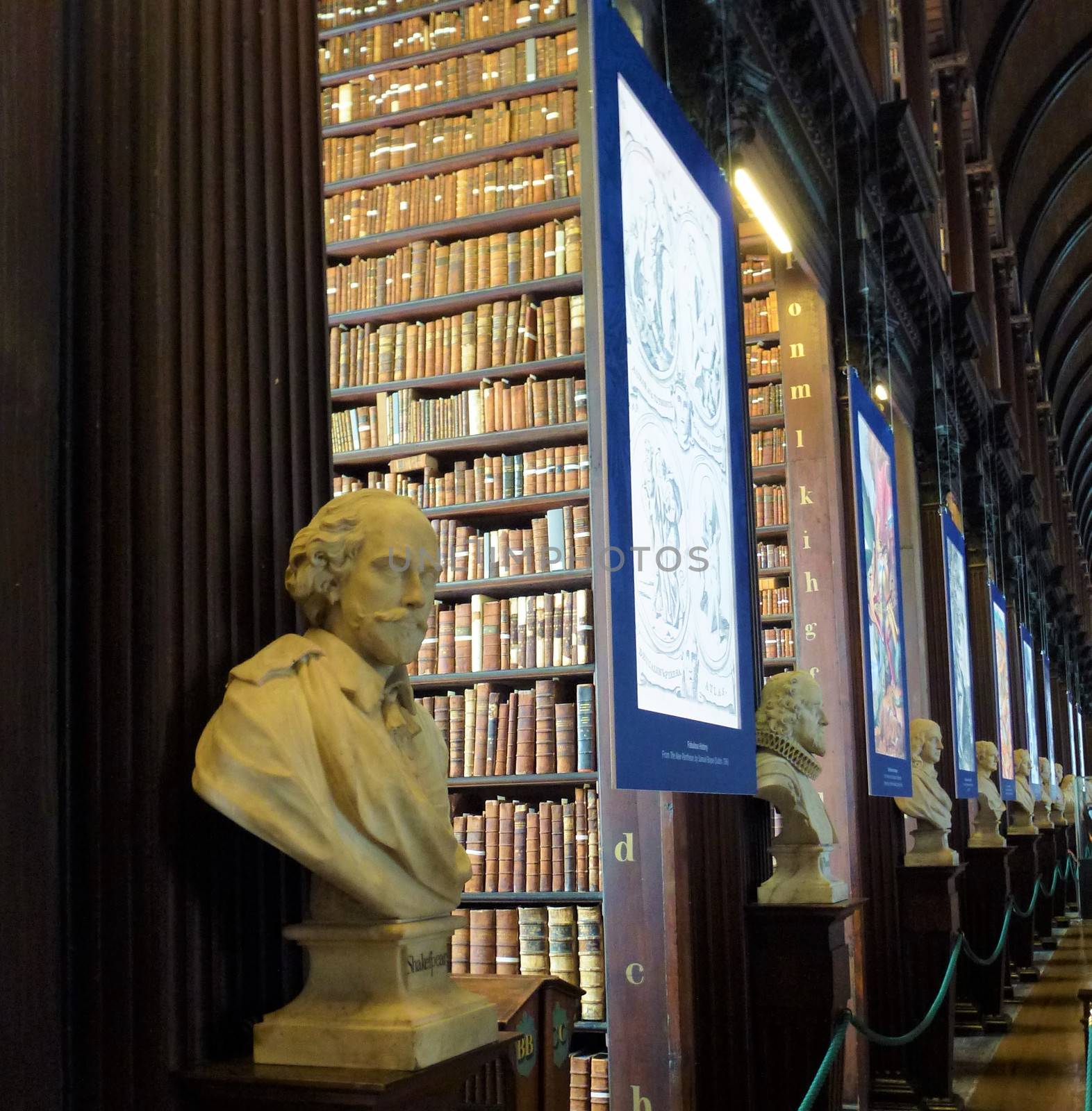 The library of the Trinity College of Dublin
